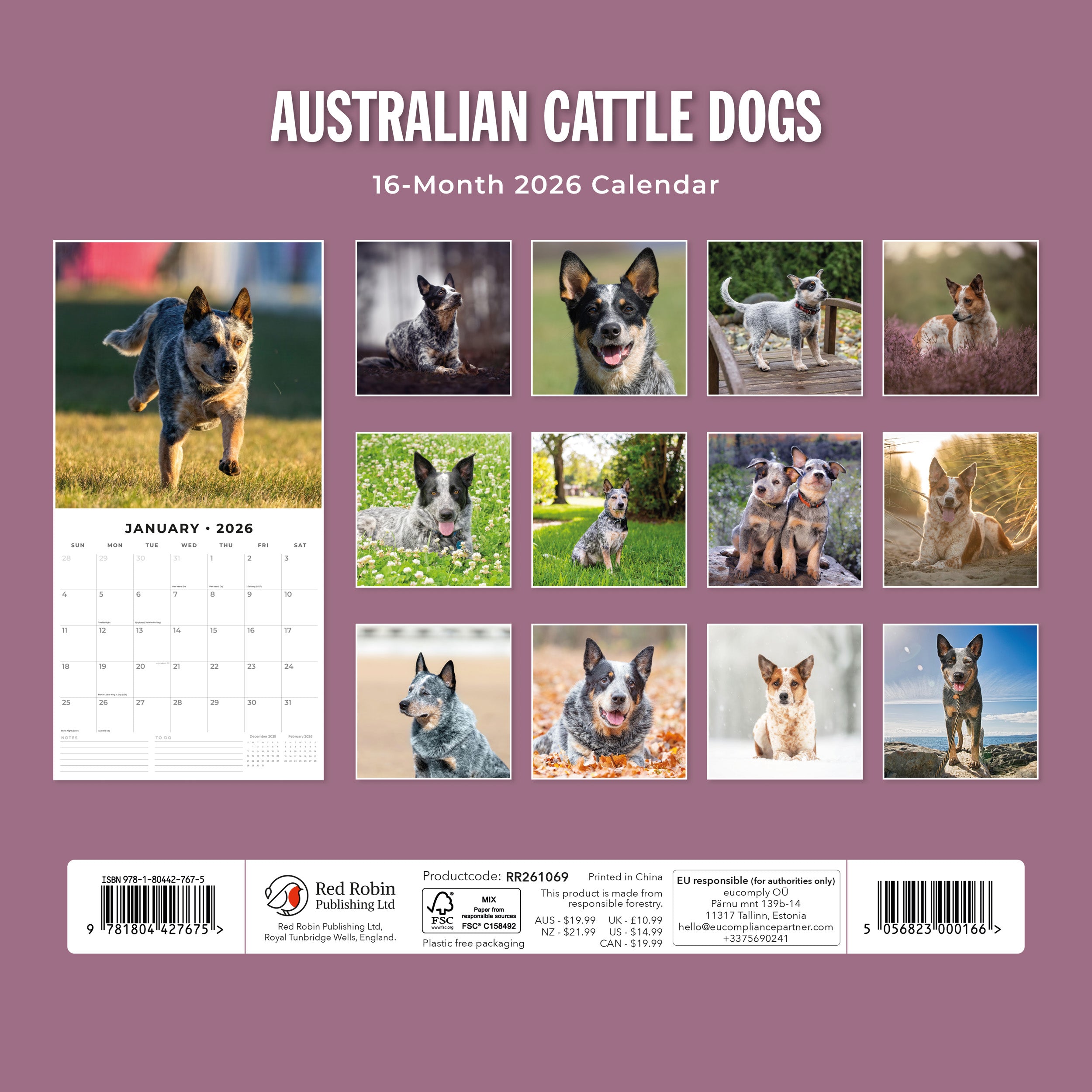 2026 Australian Cattle Dogs - Square Wall Calendar