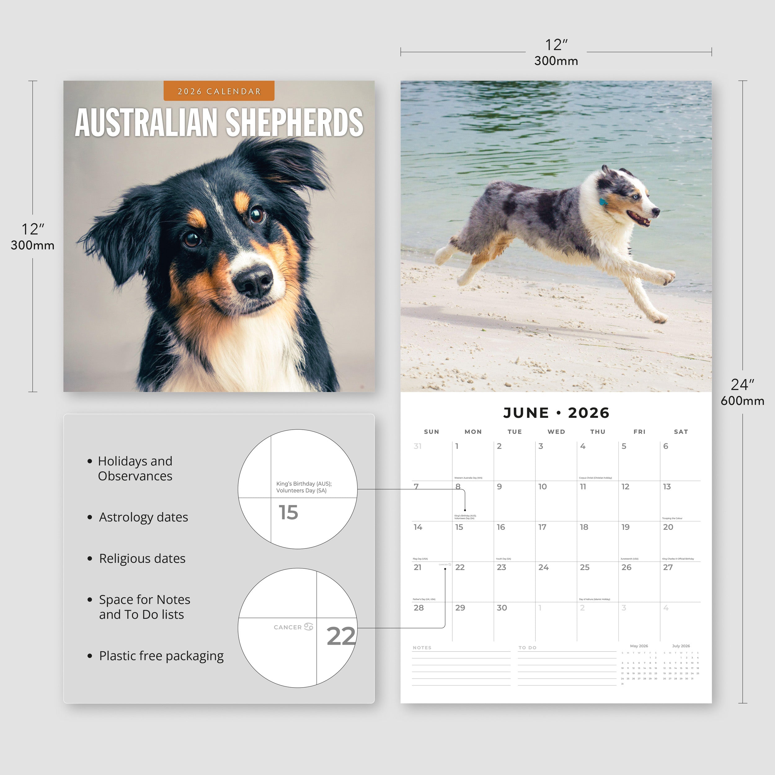 2026 Australian Shepherds - Square Wall Calendar