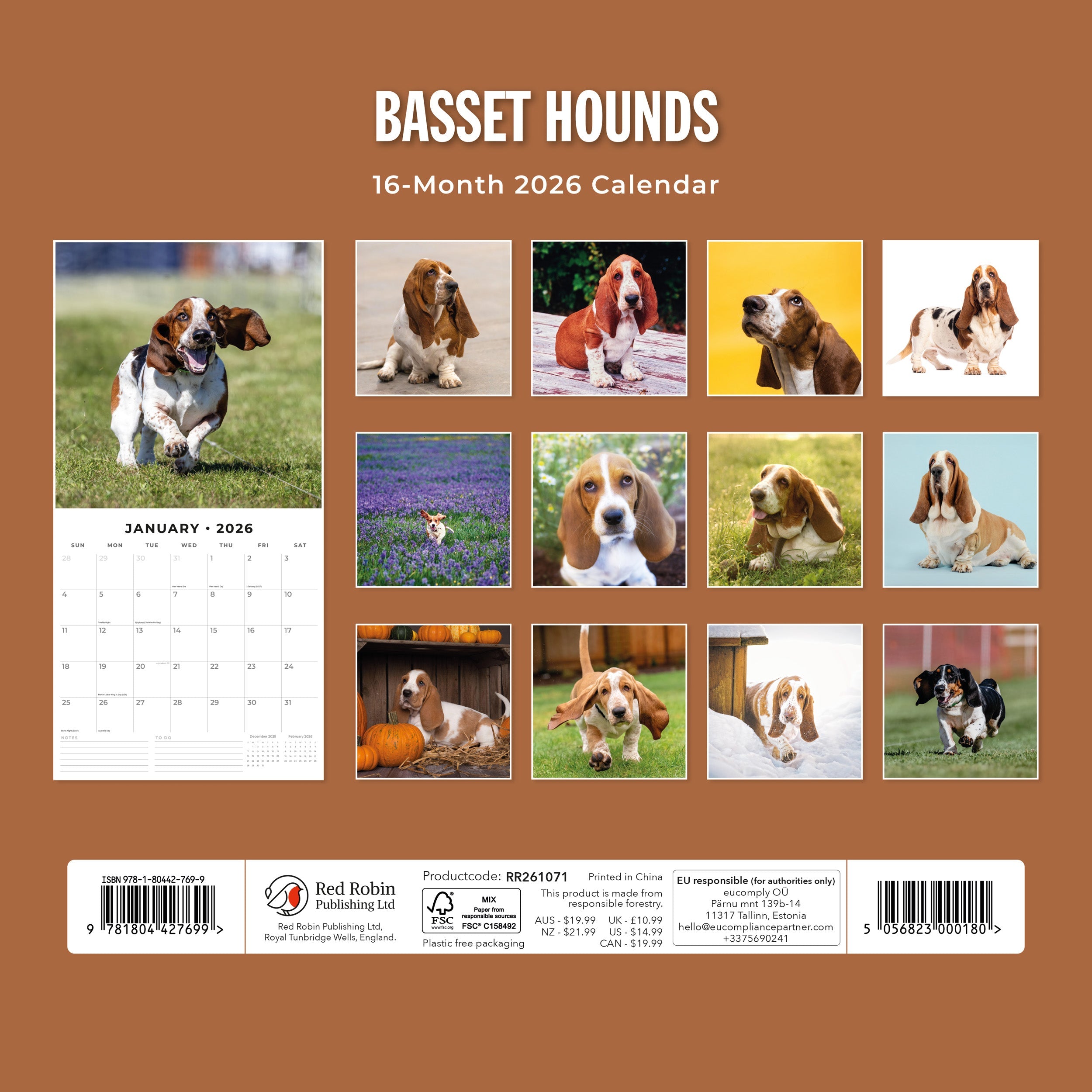 2026 Basset Hounds - Square Wall Calendar
