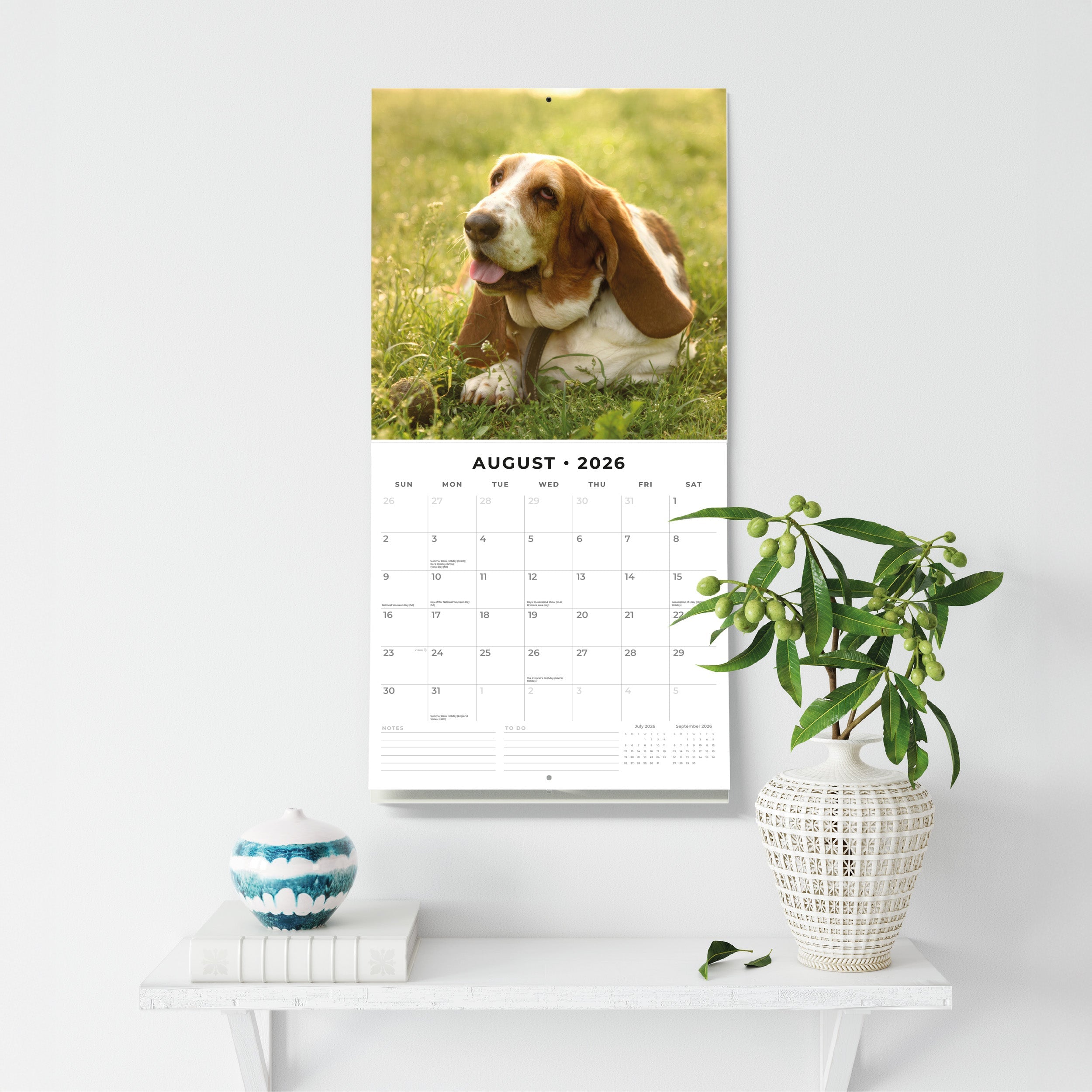 2026 Basset Hounds - Square Wall Calendar