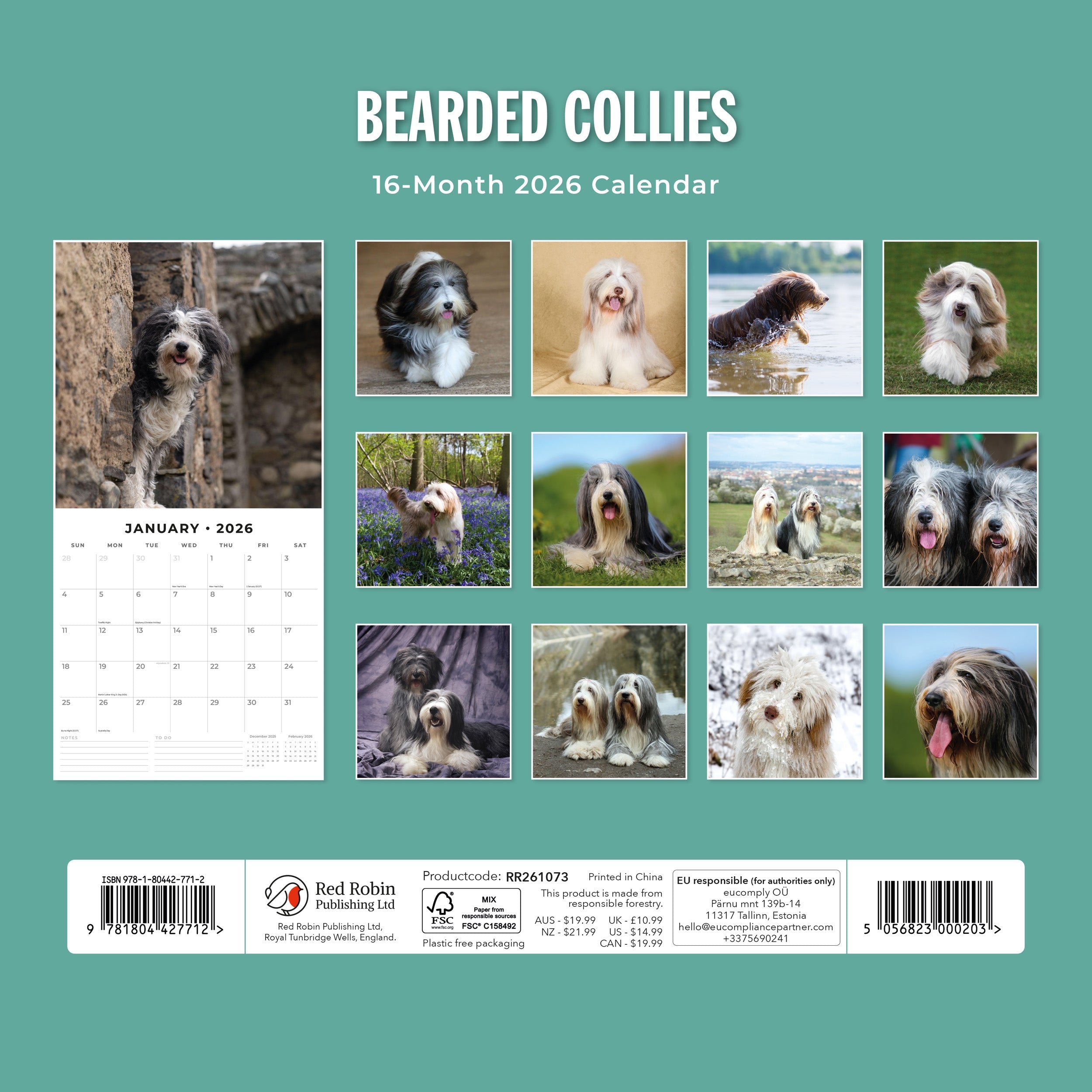 2026 Bearded Collies - Square Wall Calendar