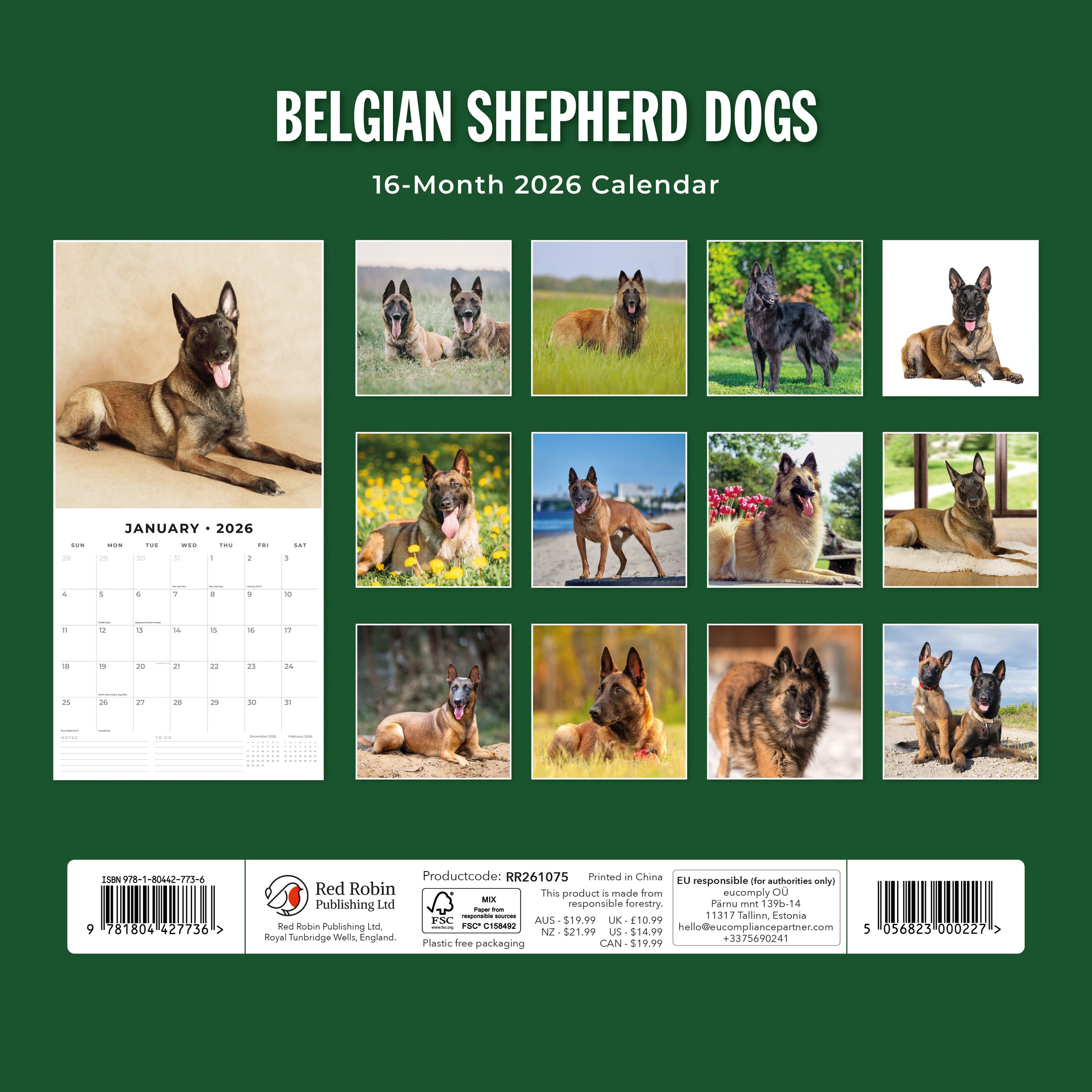 2026 Belgian Shepherd Dogs - Square Wall Calendar