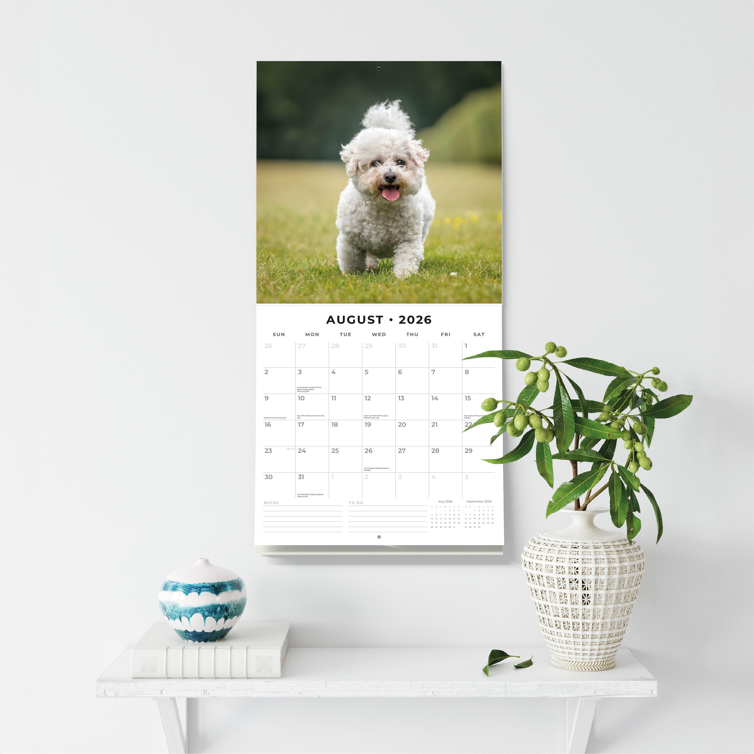 2026 Bichons Frises - Square Wall Calendar