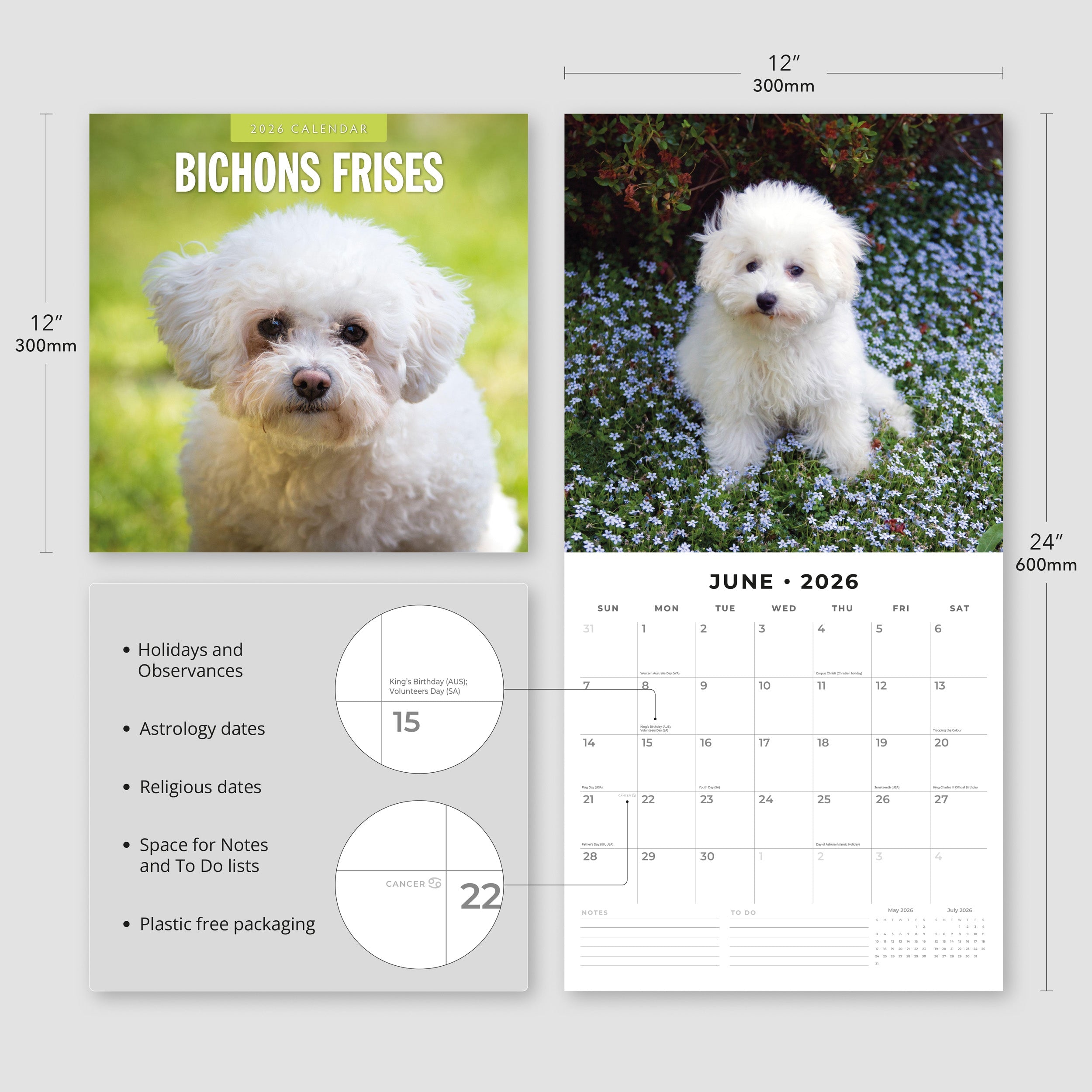 2026 Bichons Frises - Square Wall Calendar