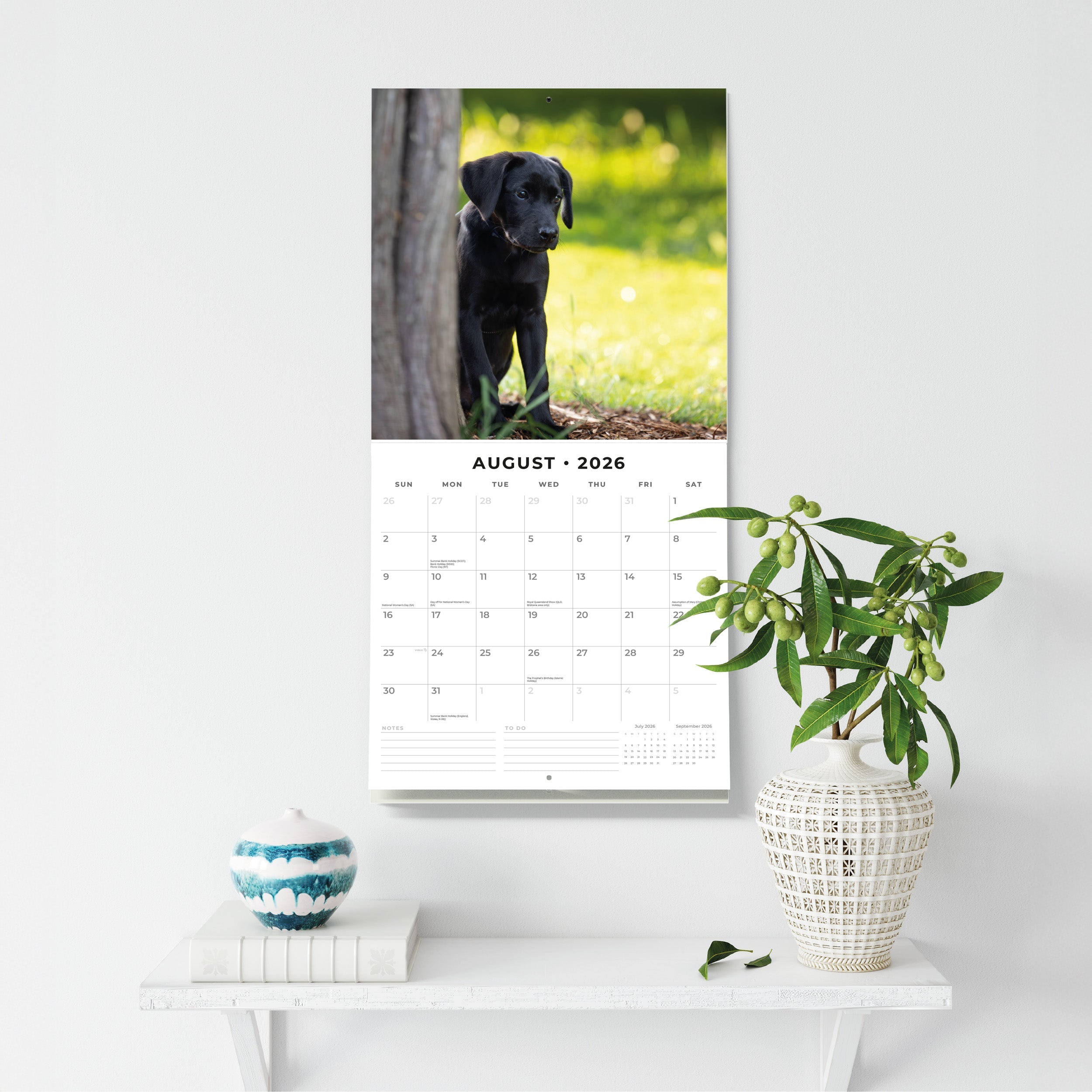 2026 Black Labrador Retriever Puppies - Square Wall Calendar