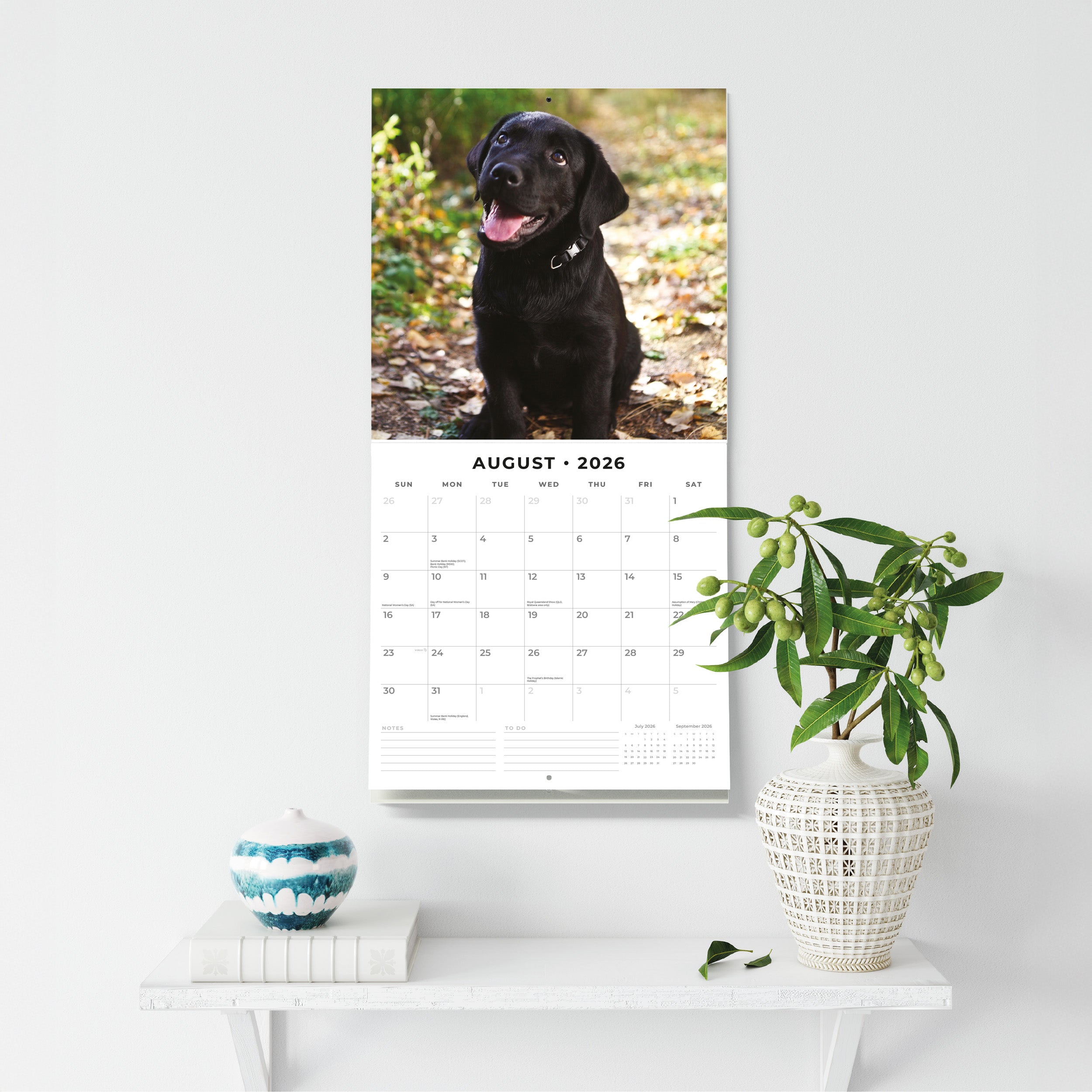 2026 Black Labradors - Square Wall Calendar