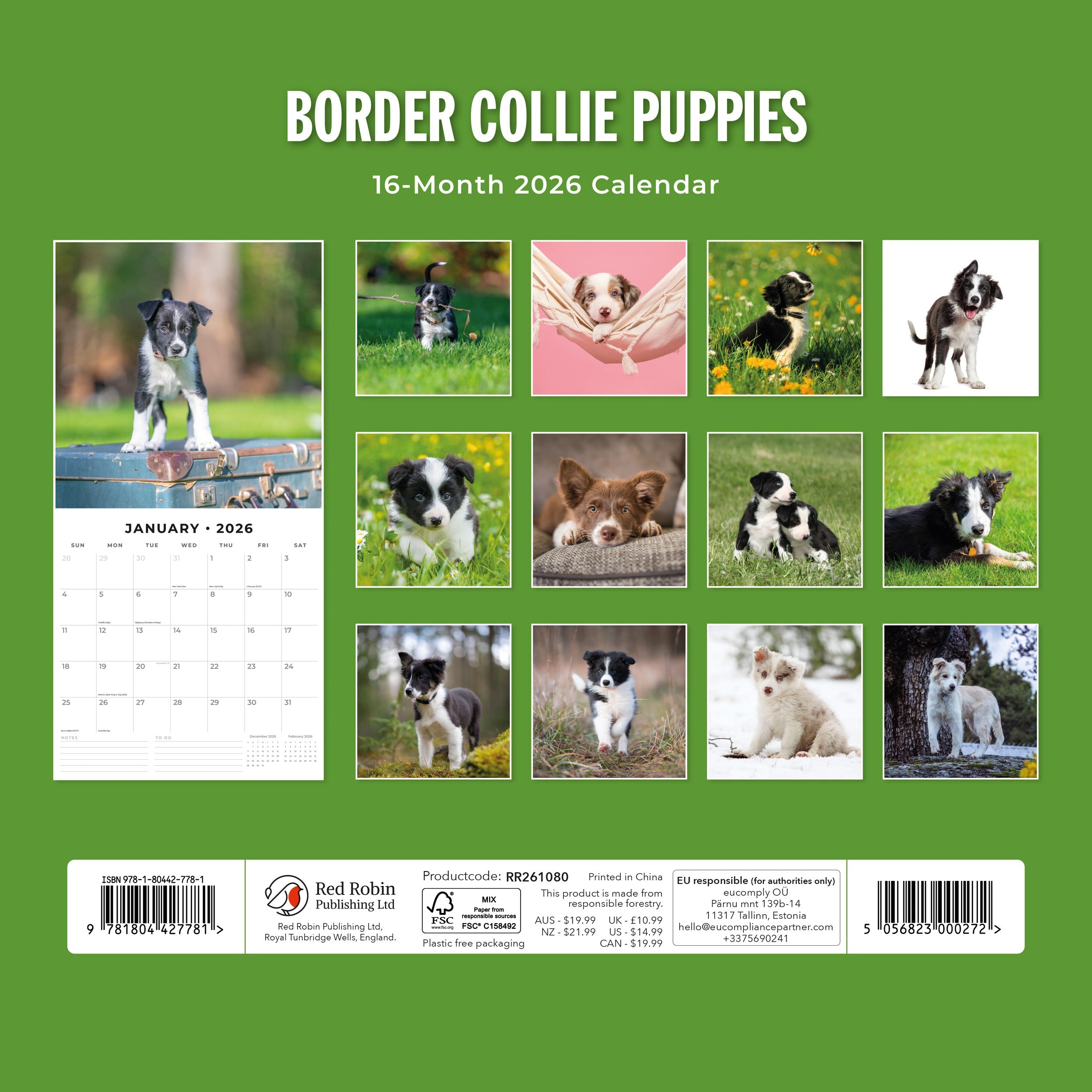 2026 Border Collie Puppies - Square Wall Calendar