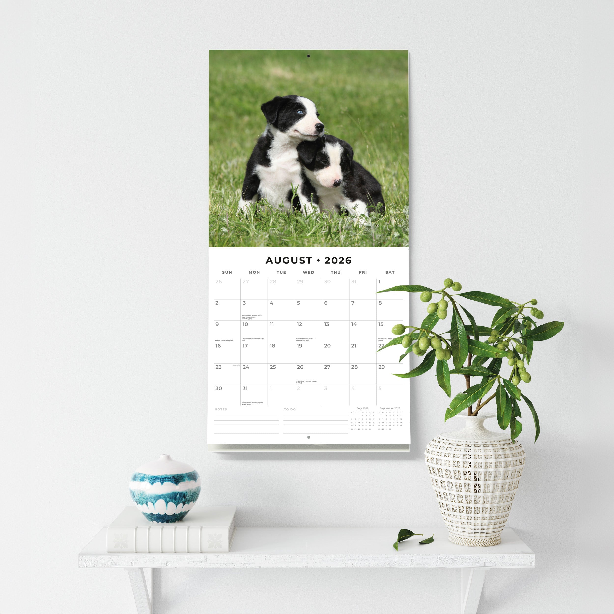 2026 Border Collie Puppies - Square Wall Calendar
