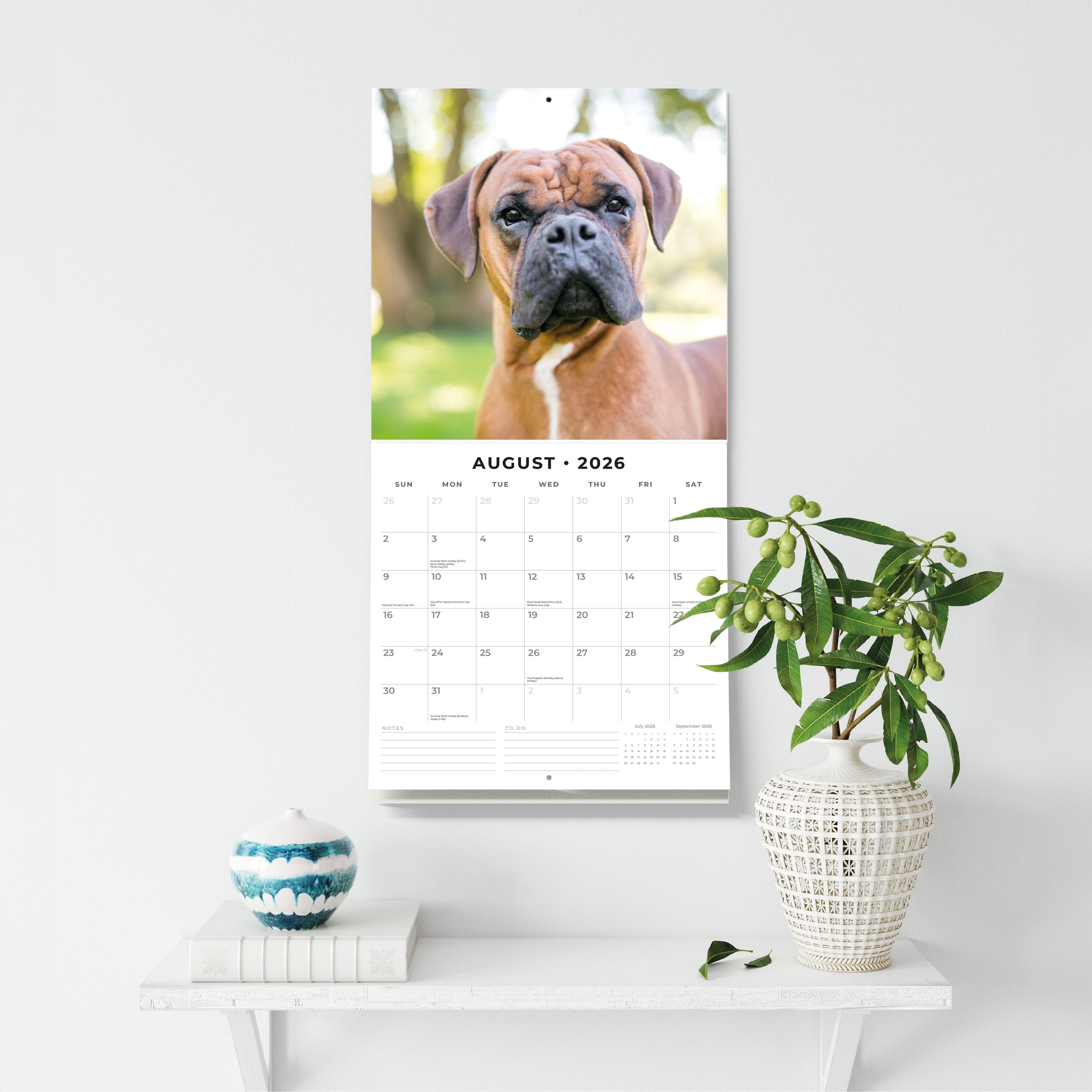 2026 Boxers - Square Wall Calendar