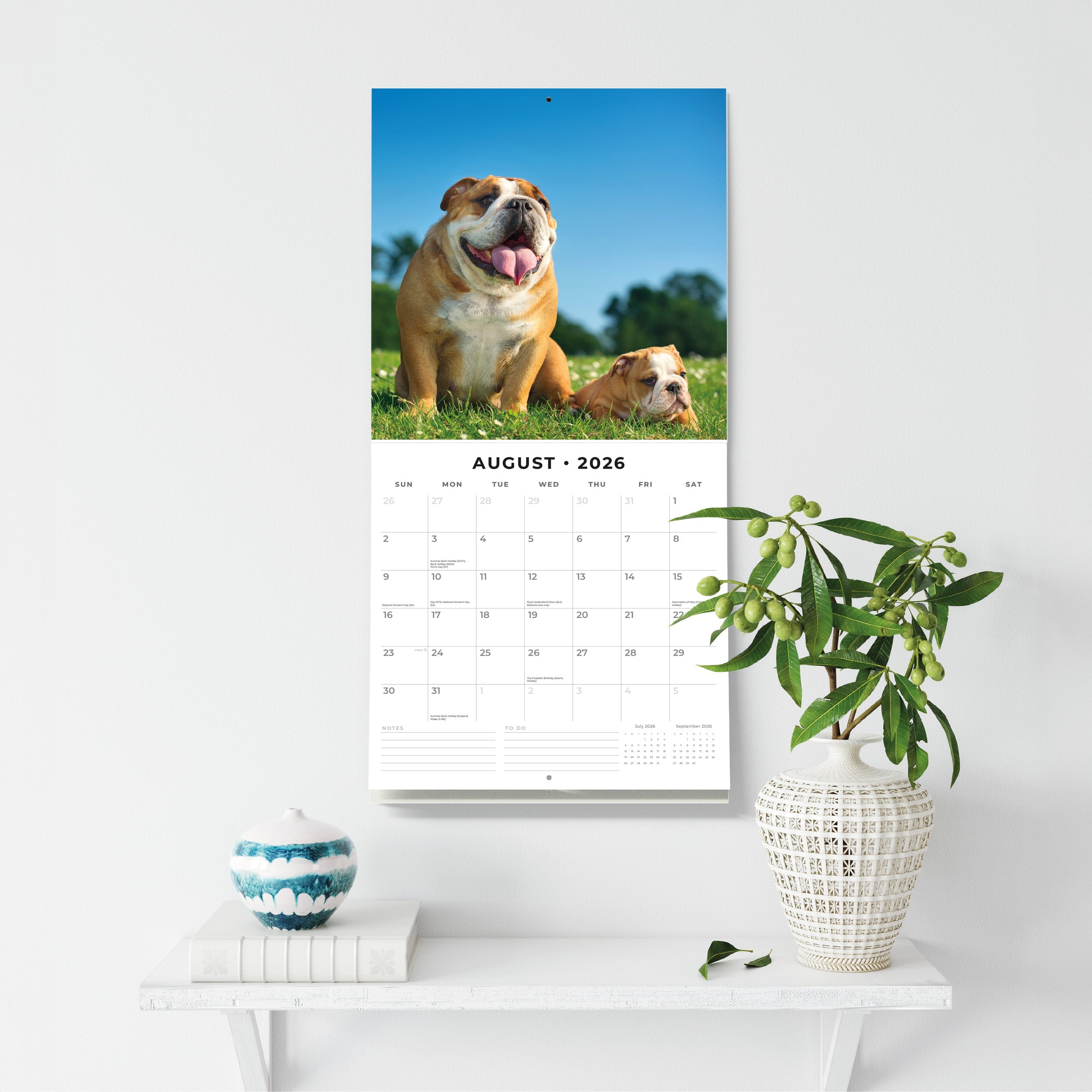 2026 Bulldogs - Square Wall Calendar