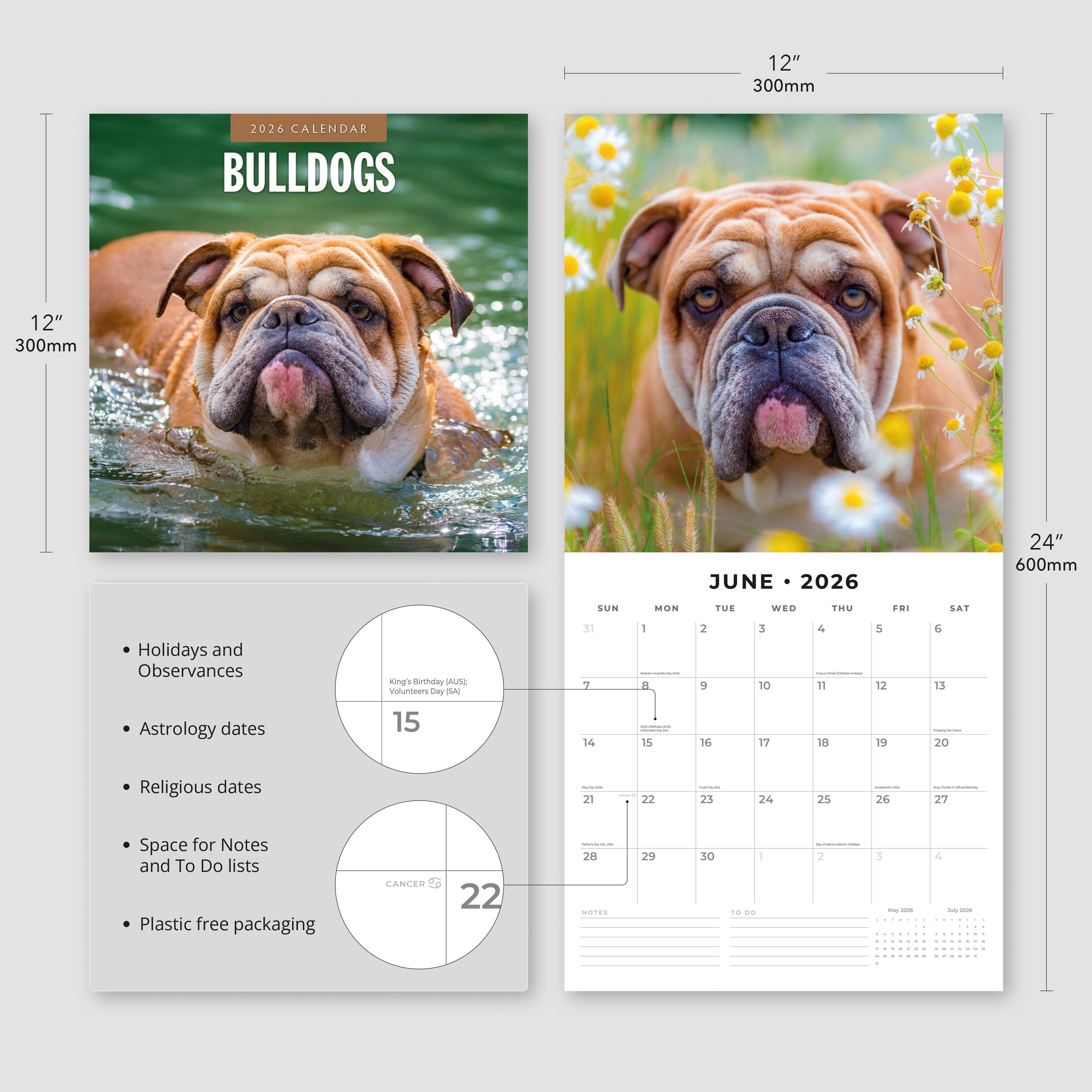 2026 Bulldogs - Square Wall Calendar