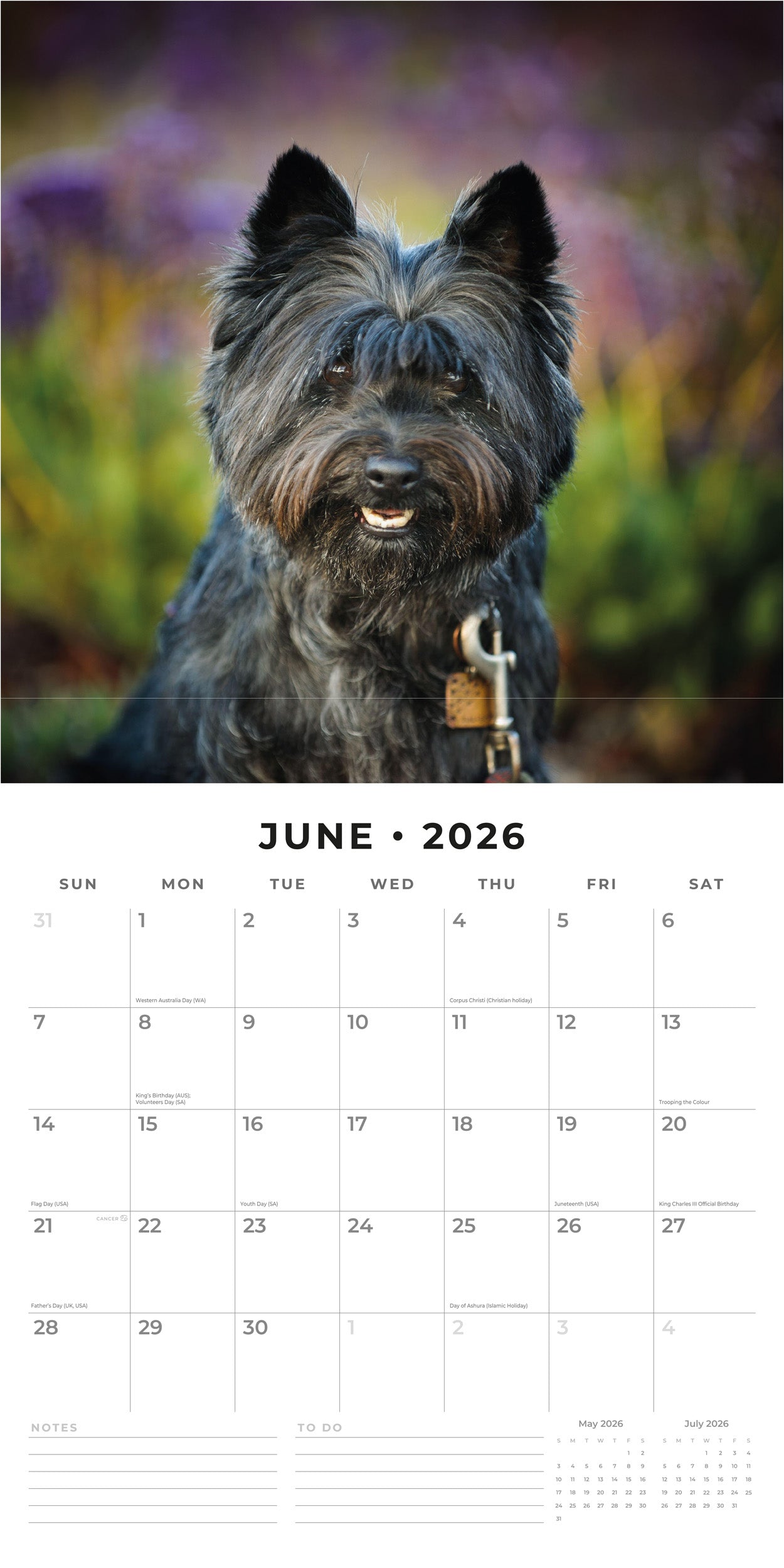 2026 Cairn Terriers - Square Wall Calendar