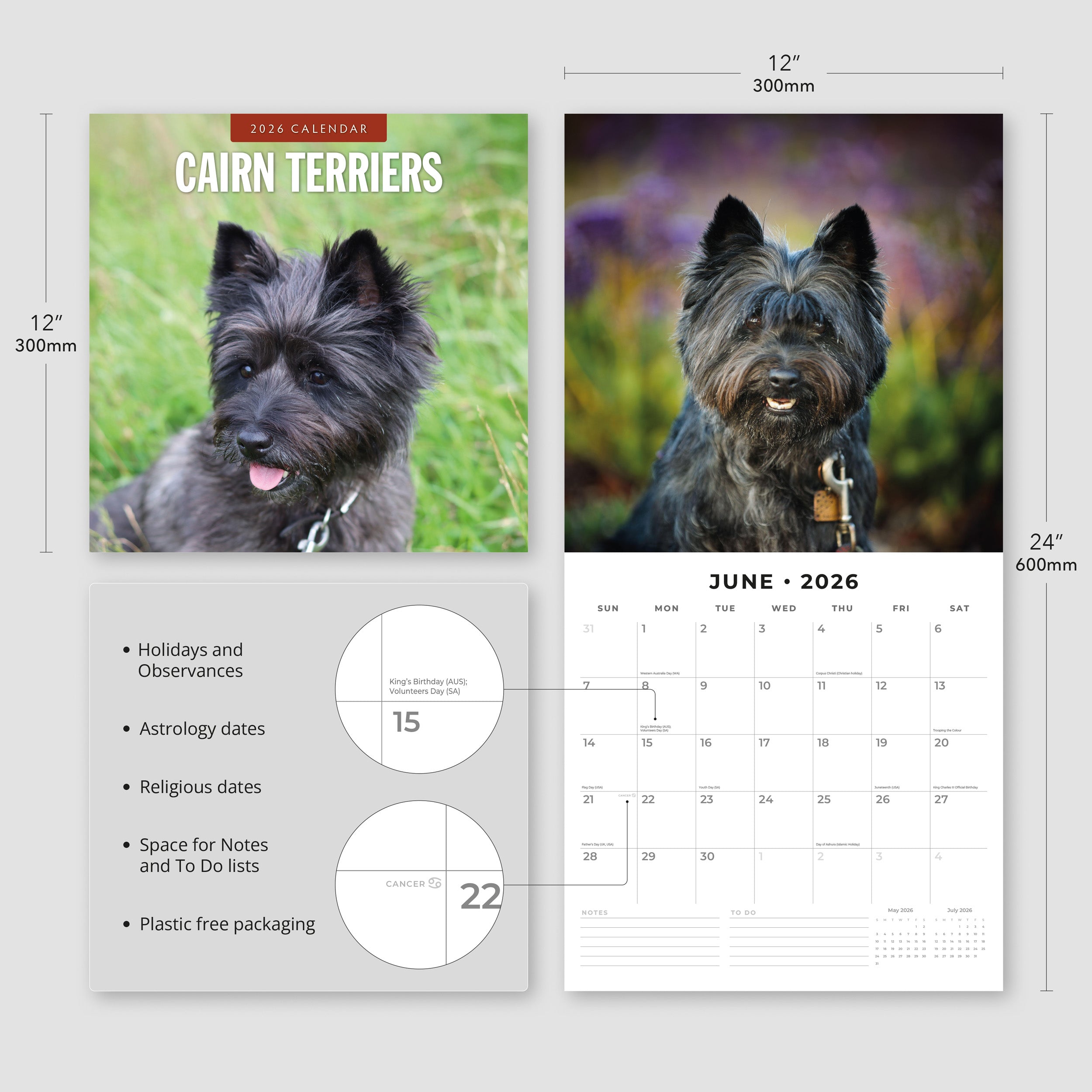 2026 Cairn Terriers - Square Wall Calendar