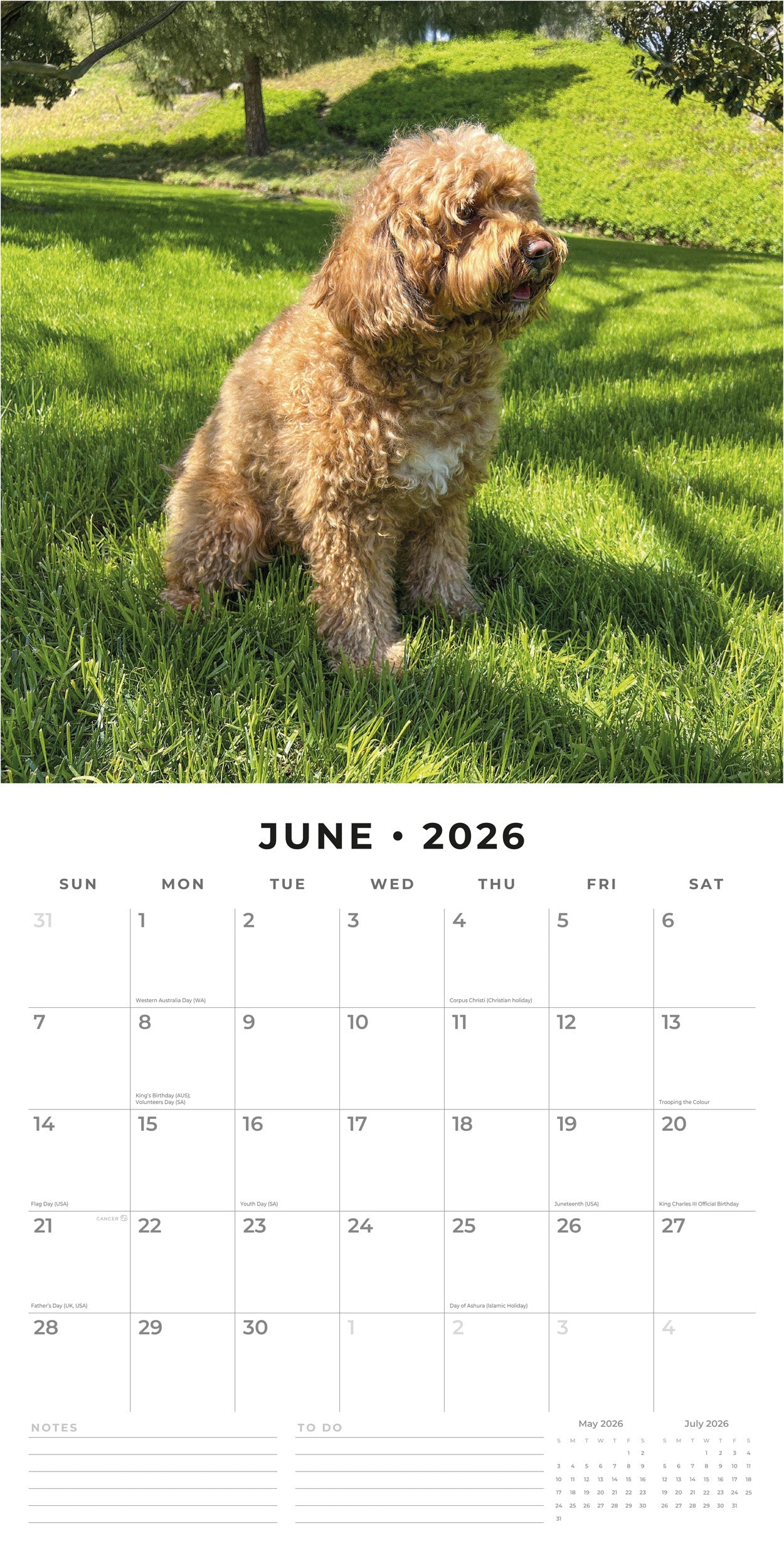 2026 Cavapoos - Square Wall Calendar