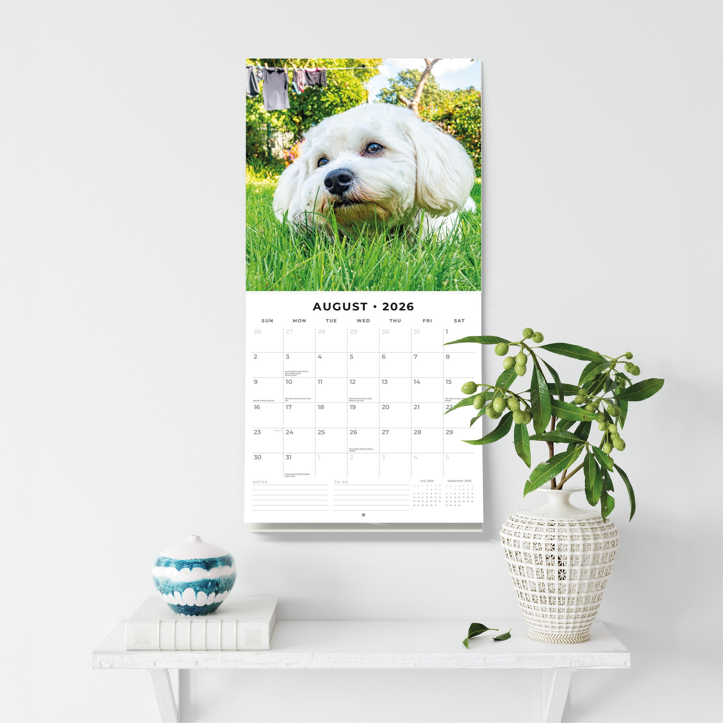 2026 Cavapoos - Square Wall Calendar