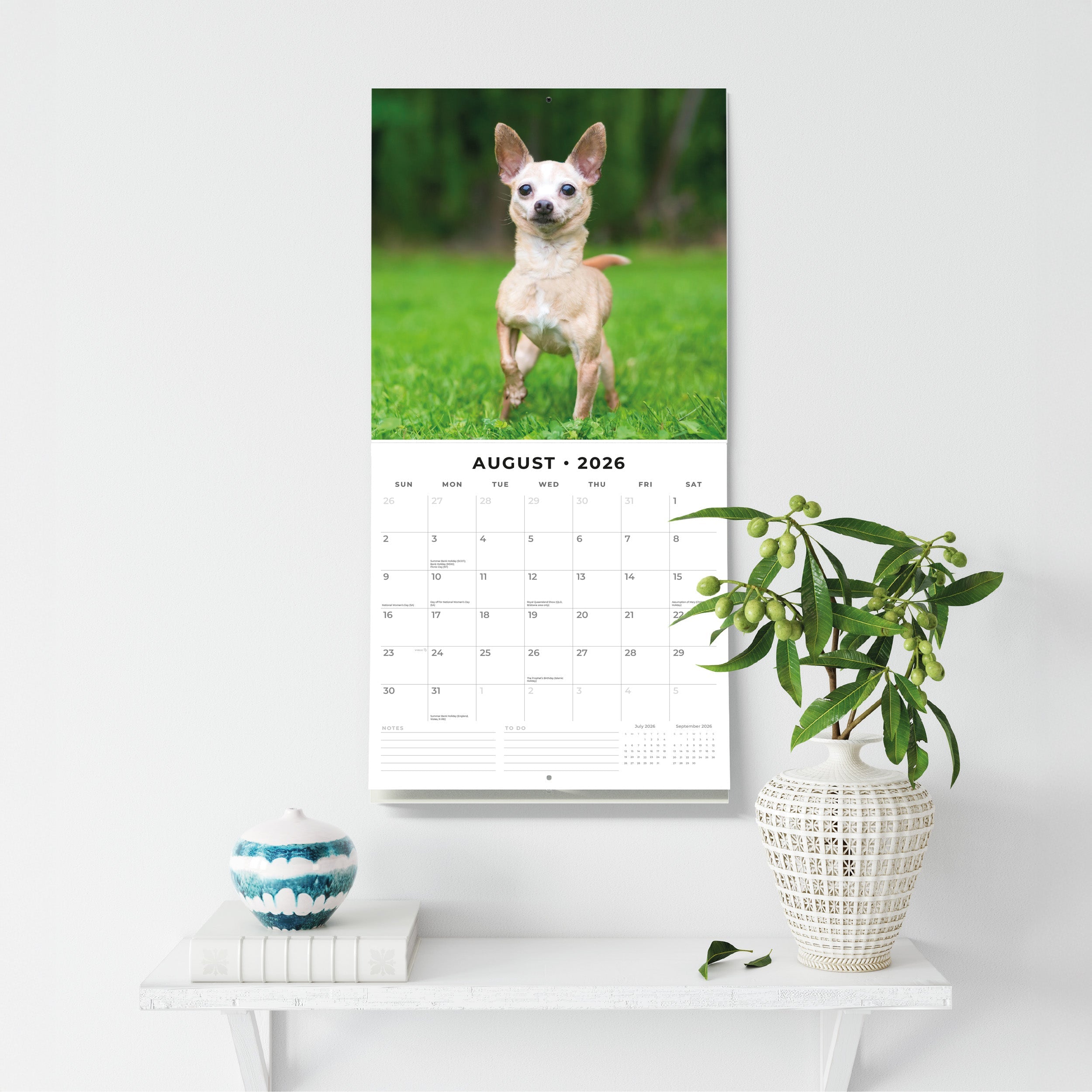 2026 Chihuahuas - Square Wall Calendar