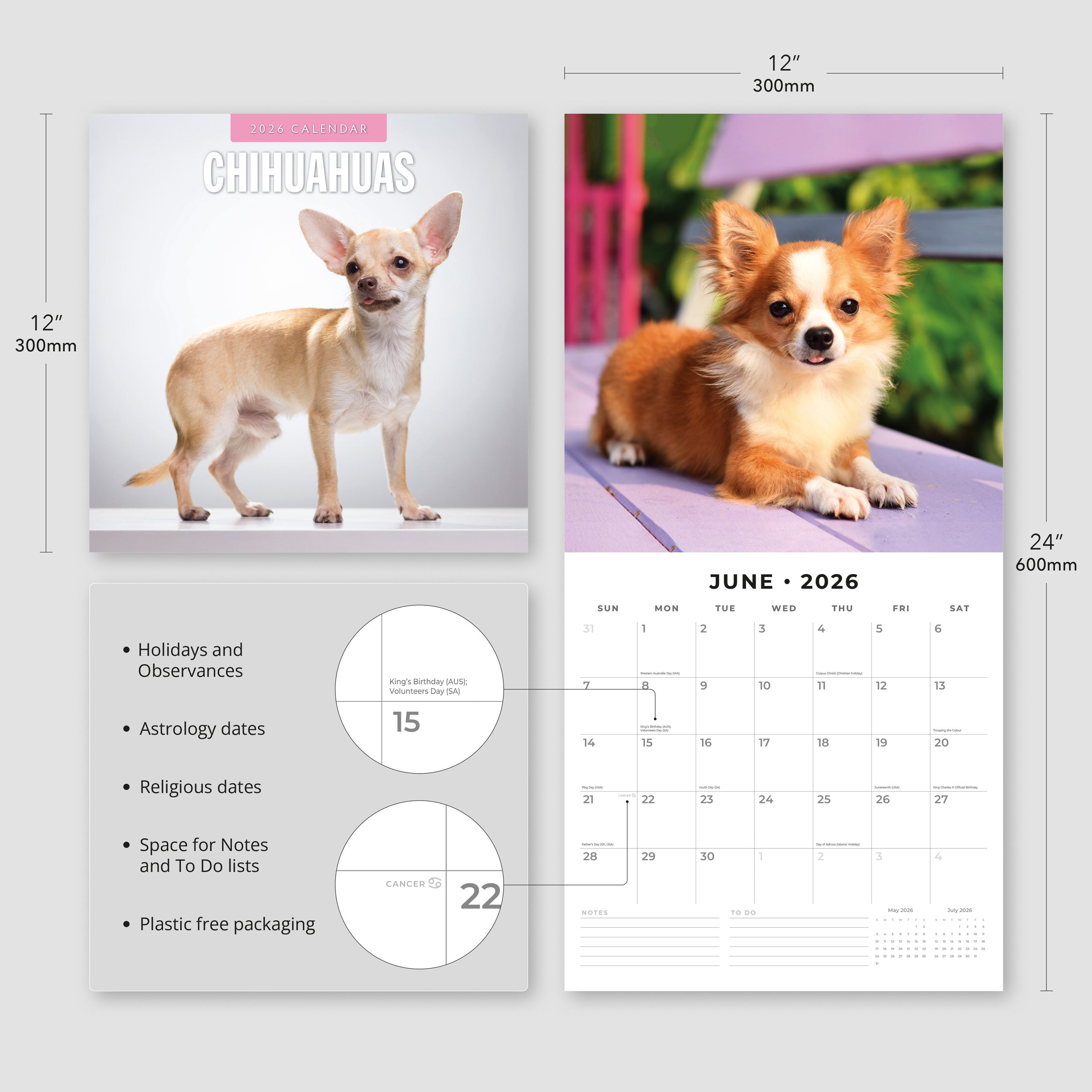 2026 Chihuahuas - Square Wall Calendar