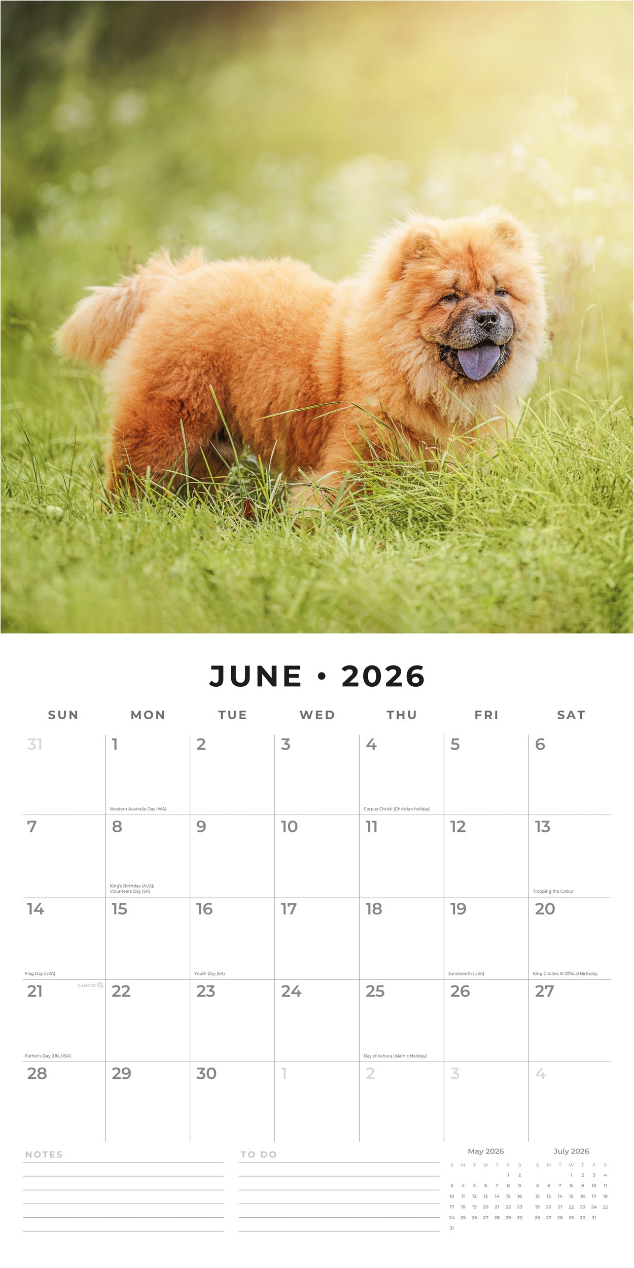 2026 Chow Chows - Square Wall Calendar