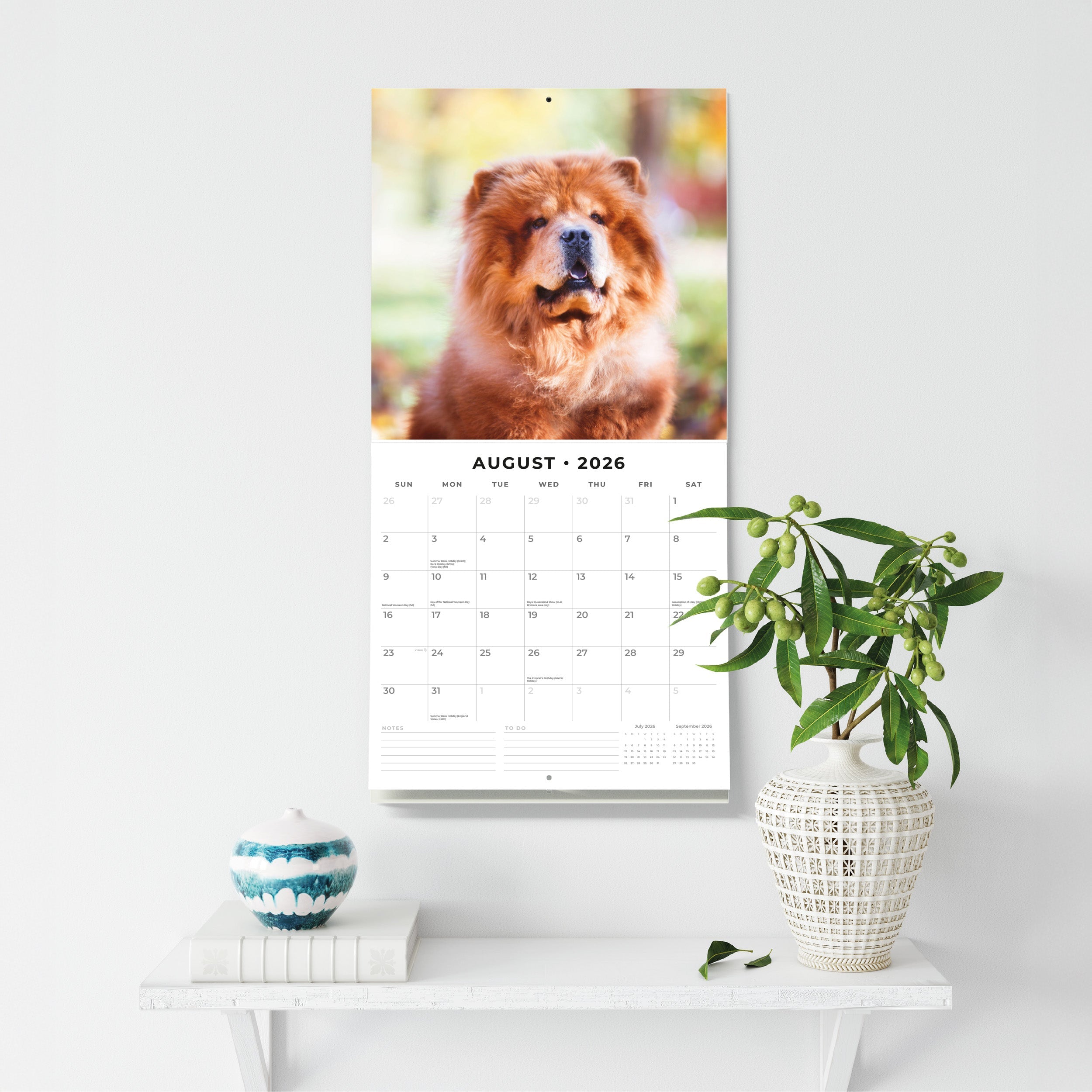 2026 Chow Chows - Square Wall Calendar