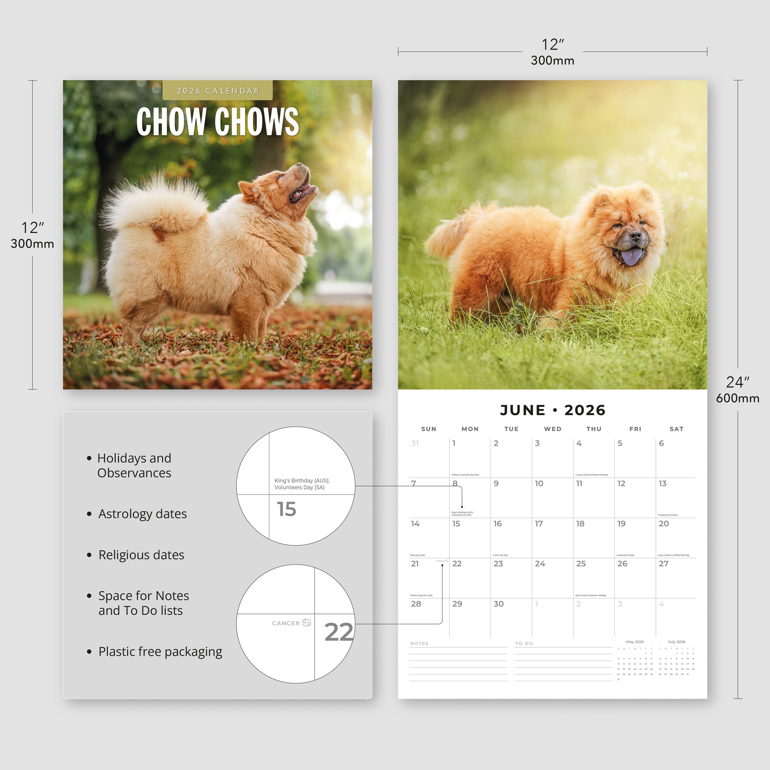 2026 Chow Chows - Square Wall Calendar