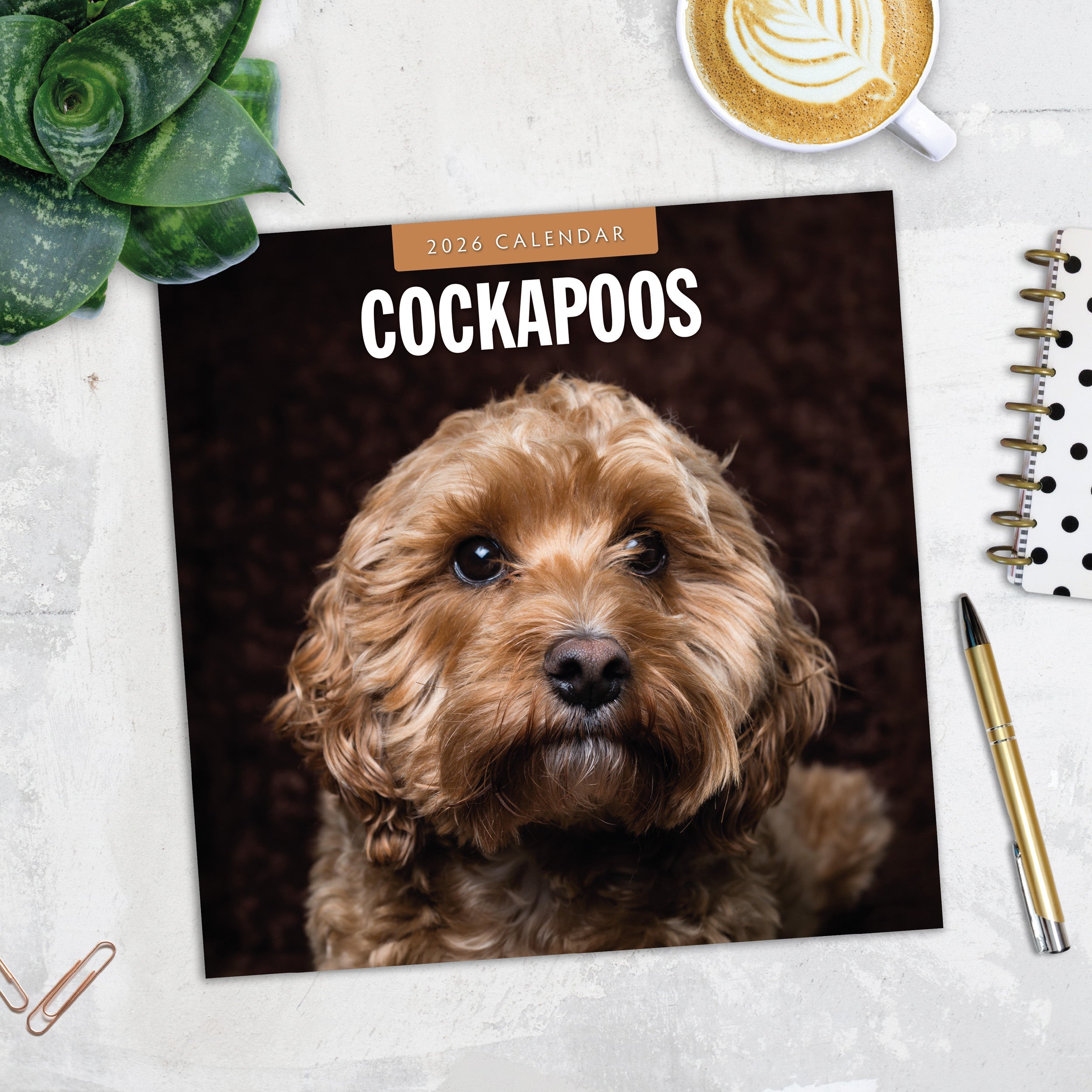 2026 Cockapoos - Square Wall Calendar