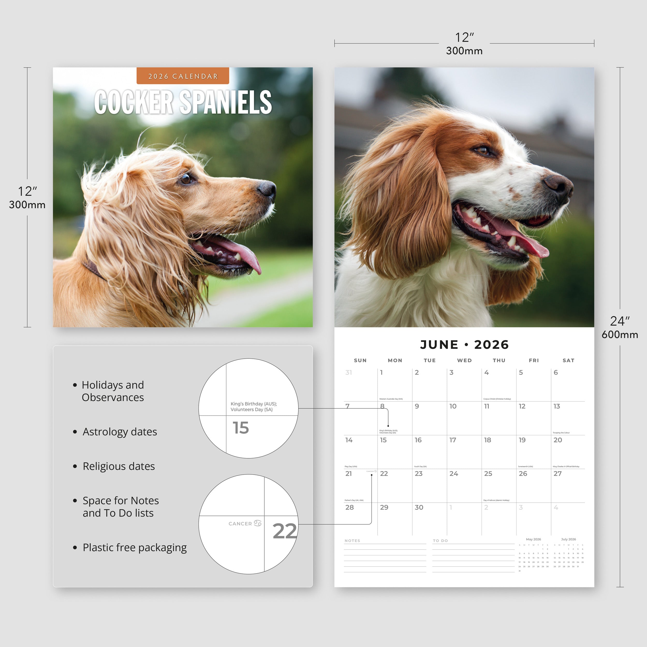 2026 Cocker Spaniels - Square Wall Calendar