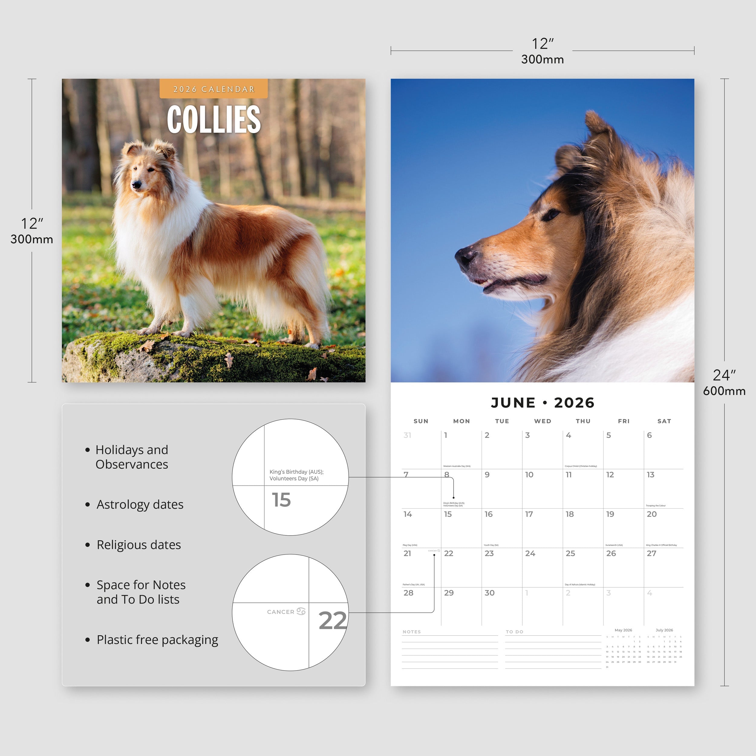 2026 Collies - Square Wall Calendar