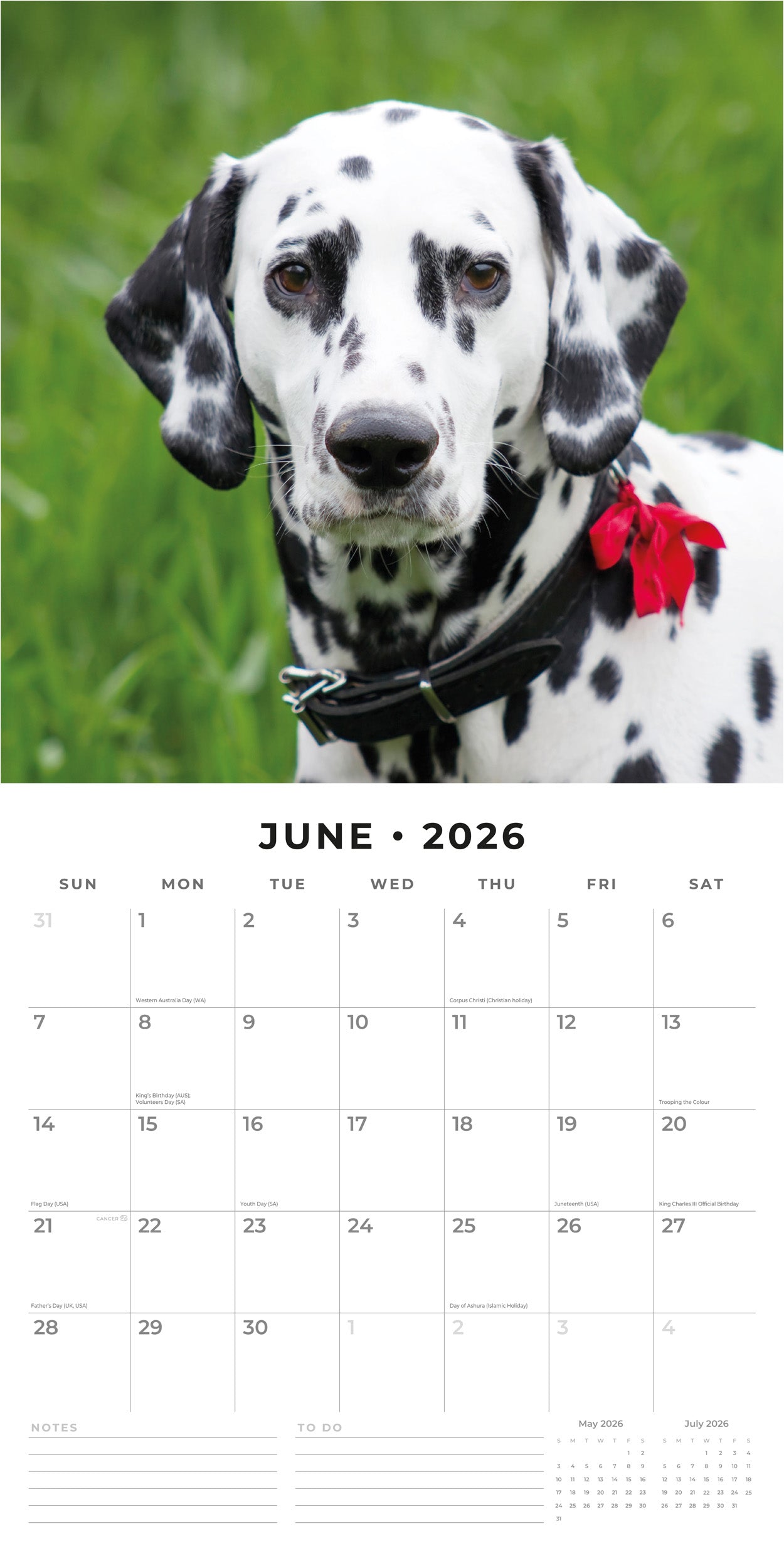2026 Dalmatians - Square Wall Calendar