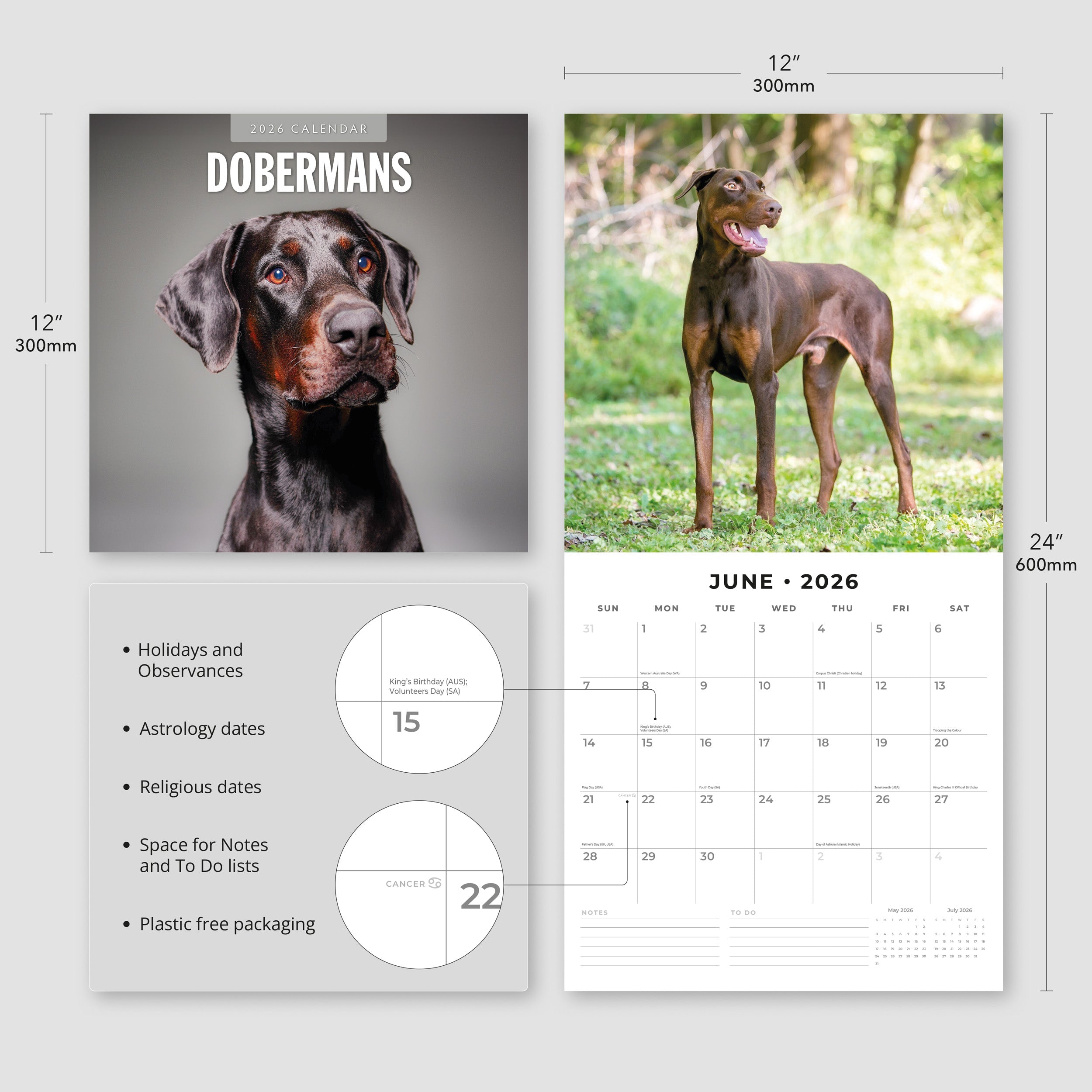 2026 Dobermans - Square Wall Calendar