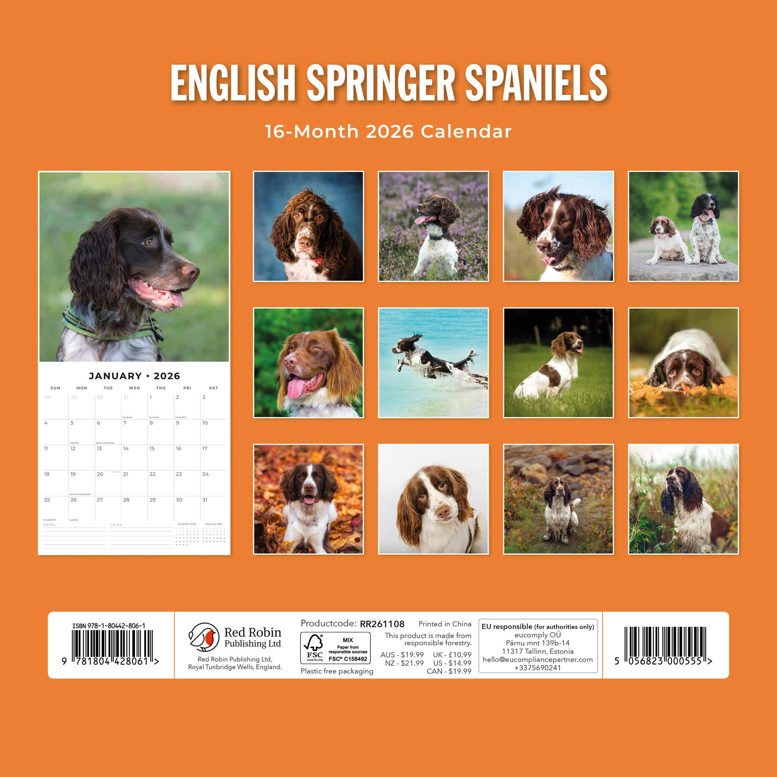 2026 English Springer Spaniels - Square Wall Calendar