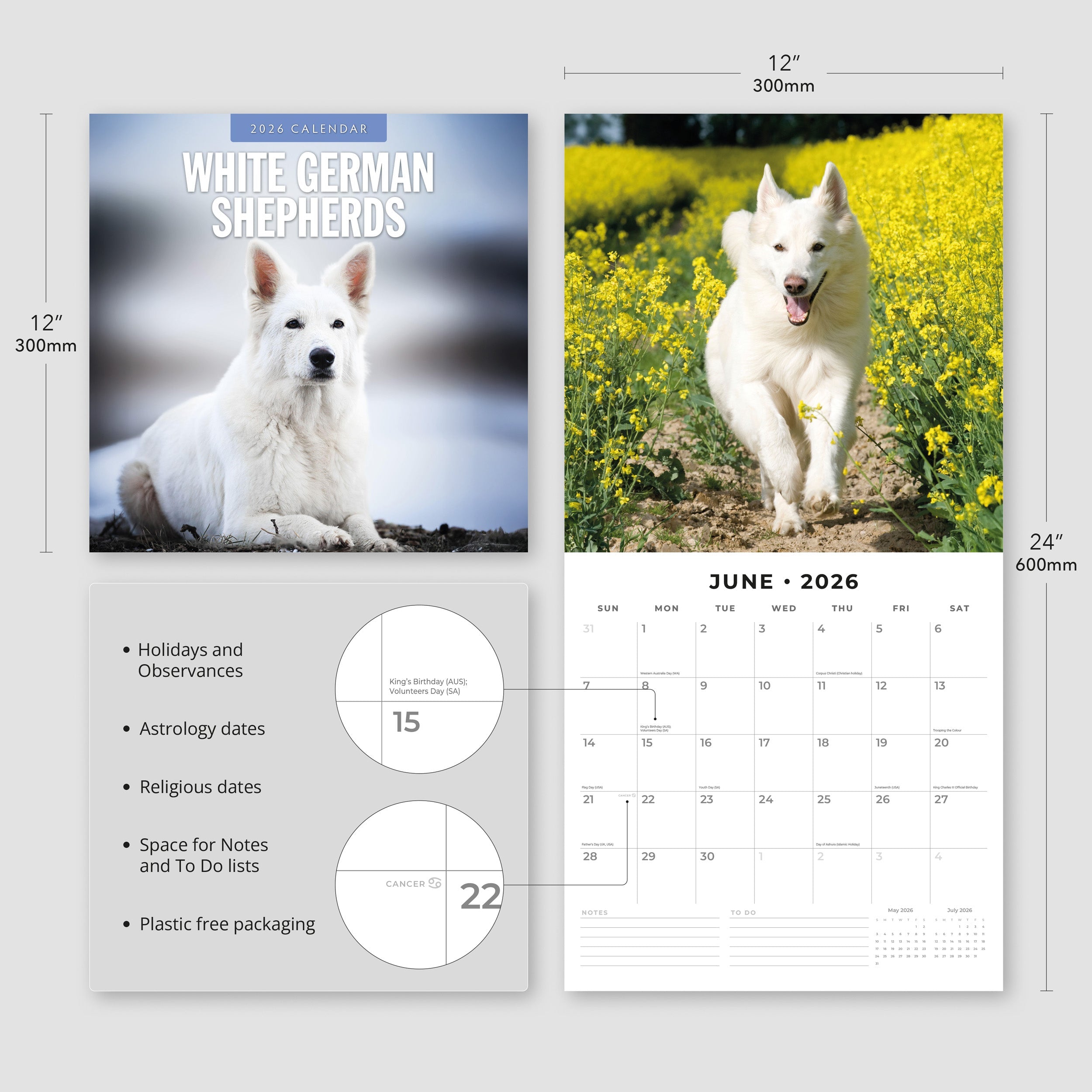 2026 German Shepherd, White - Square Wall Calendar
