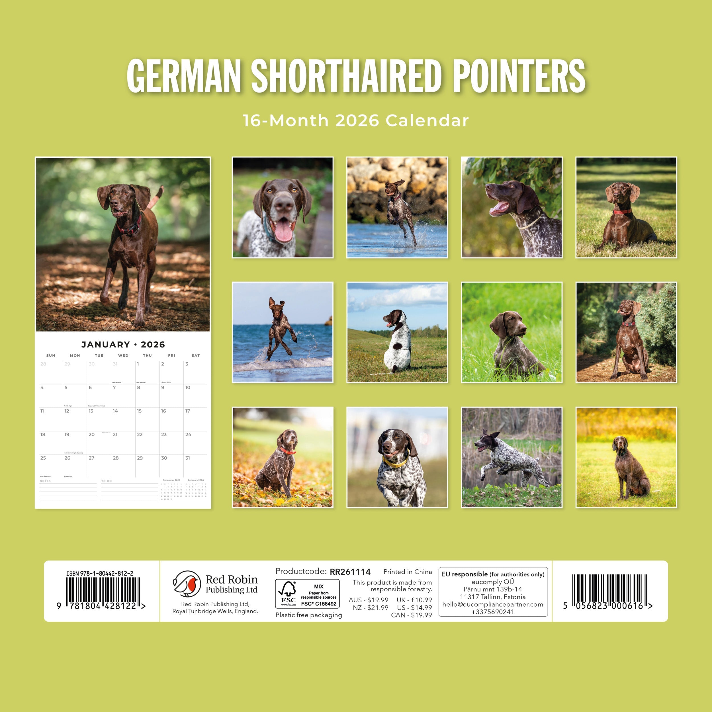 2026 German Shorthaired Pointers - Square Wall Calendar