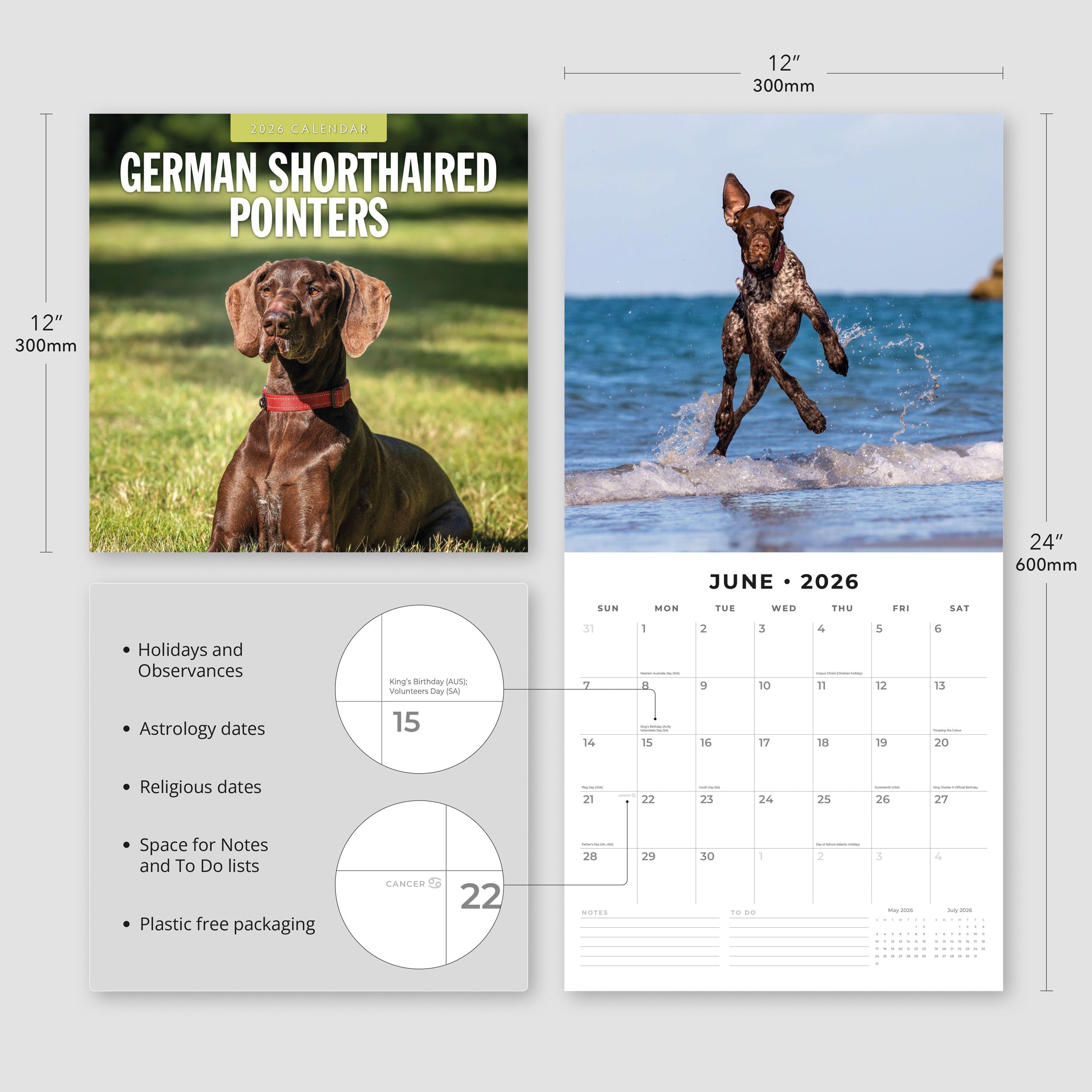 2026 German Shorthaired Pointers - Square Wall Calendar