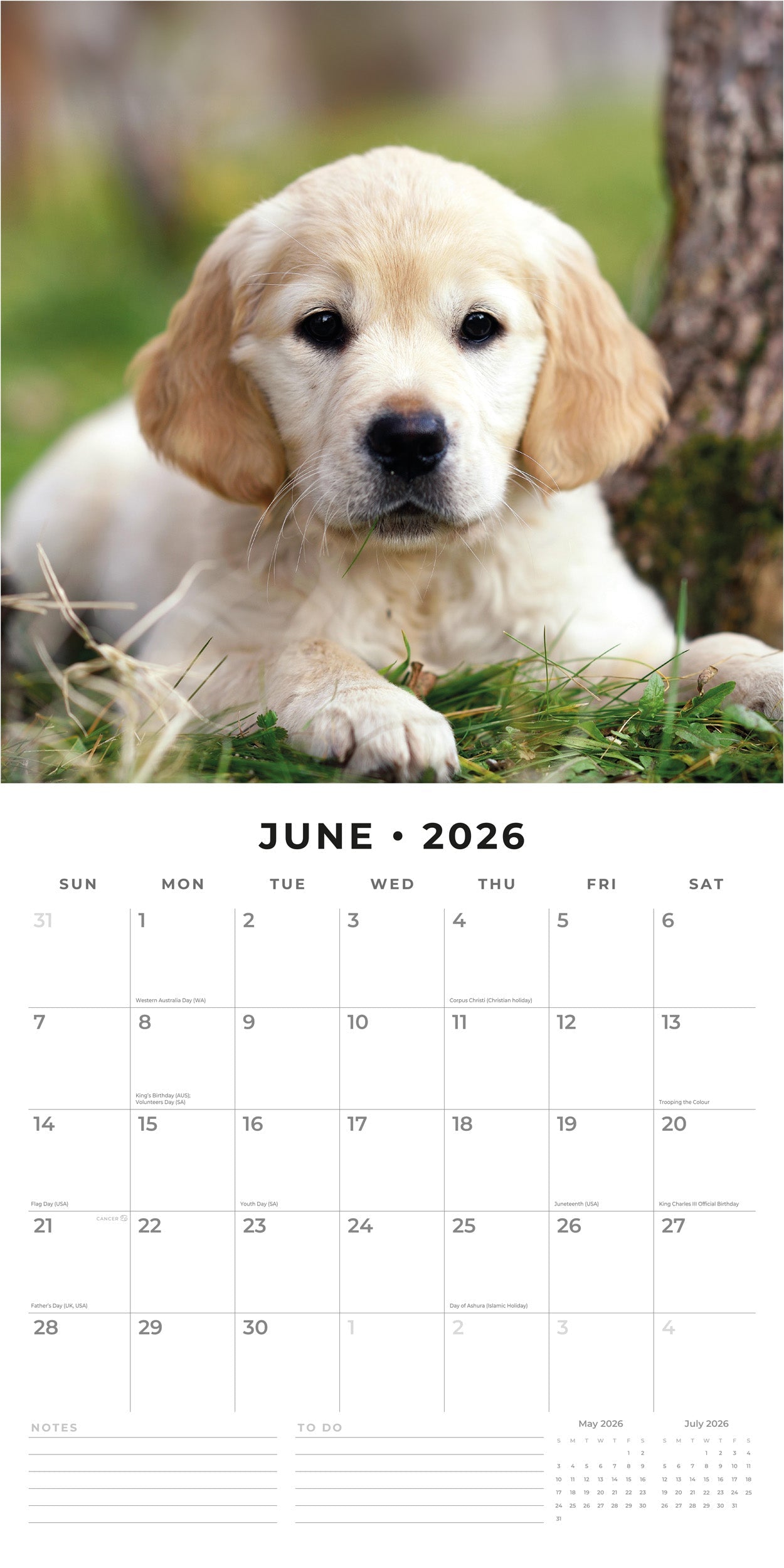2026 Golden Retriever Puppies - Square Wall Calendar