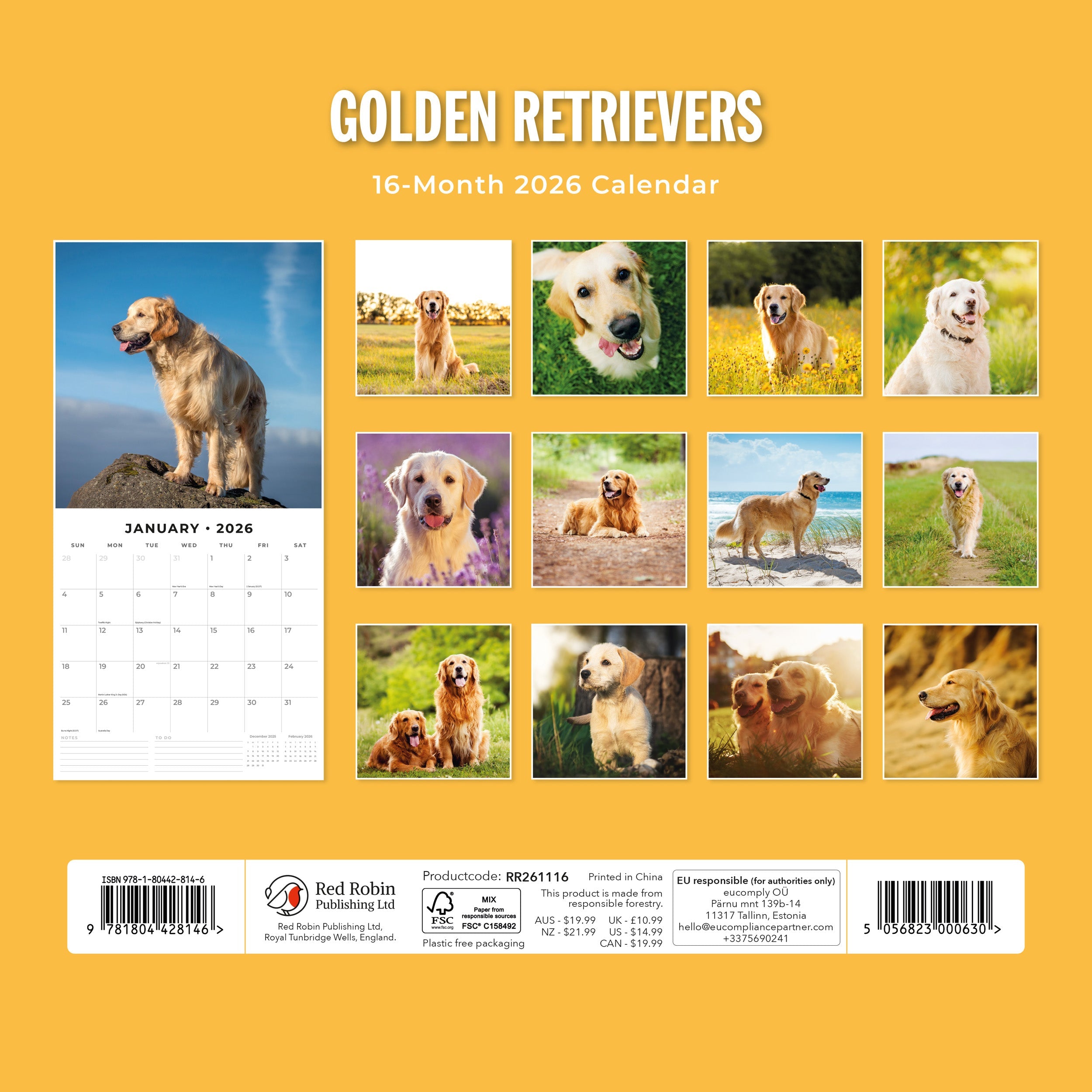 2026 Golden Retrievers - Square Wall Calendar