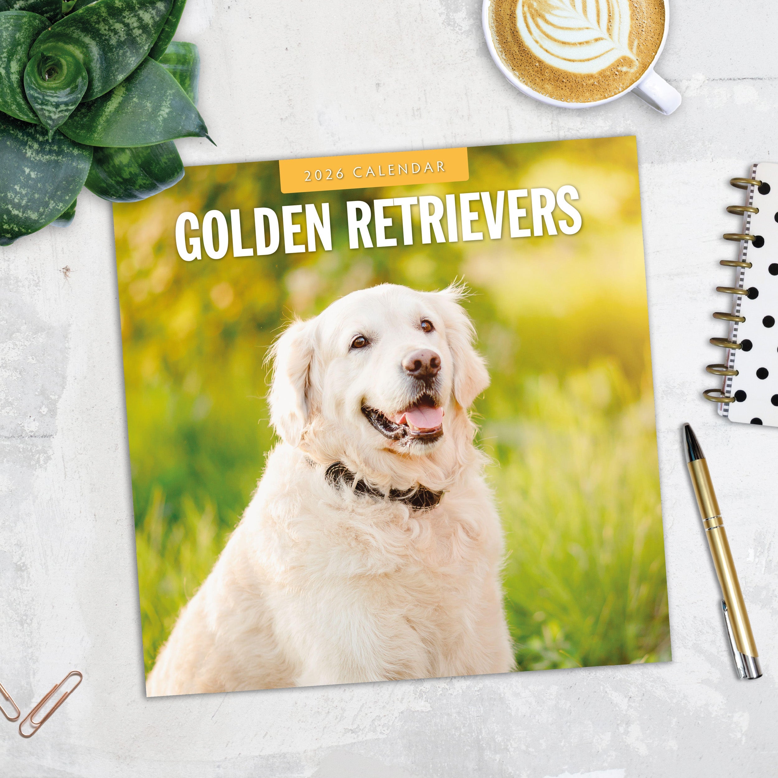 2026 Golden Retrievers - Square Wall Calendar