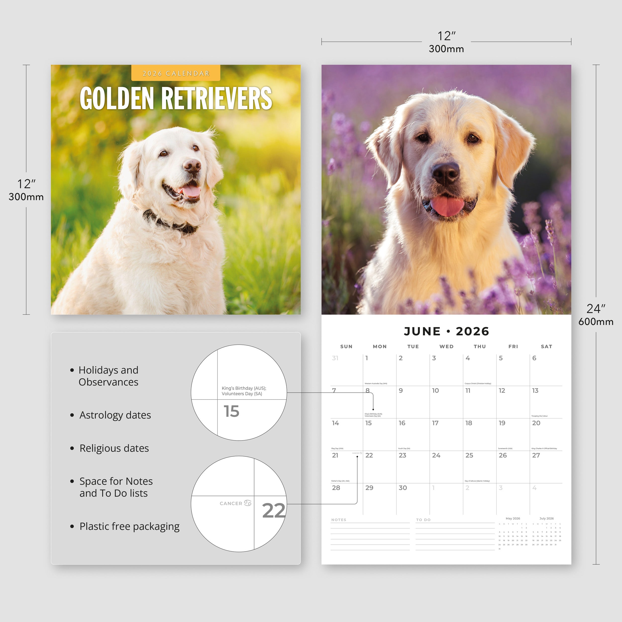 2026 Golden Retrievers - Square Wall Calendar