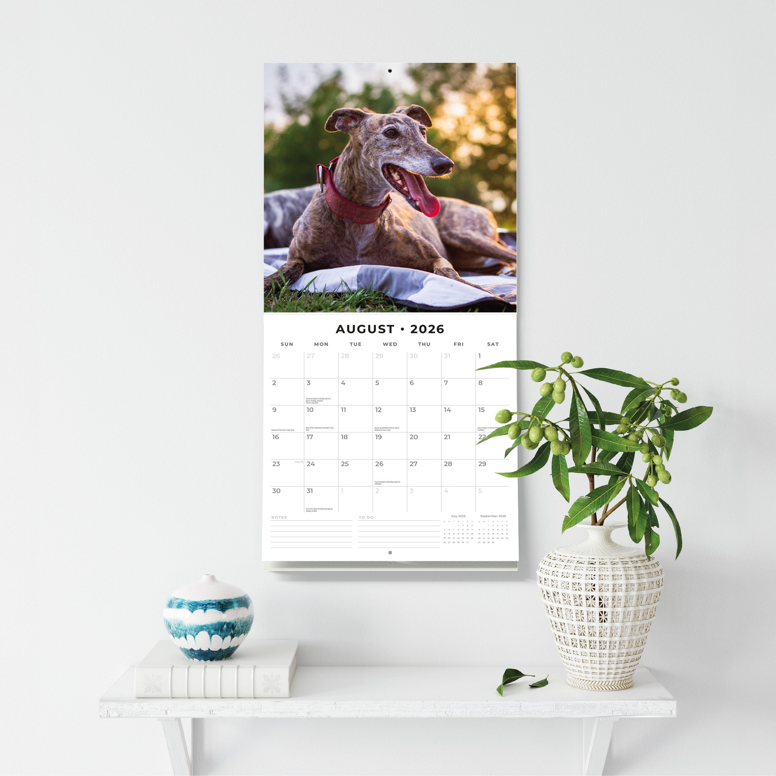 2026 Greyhounds - Square Wall Calendar
