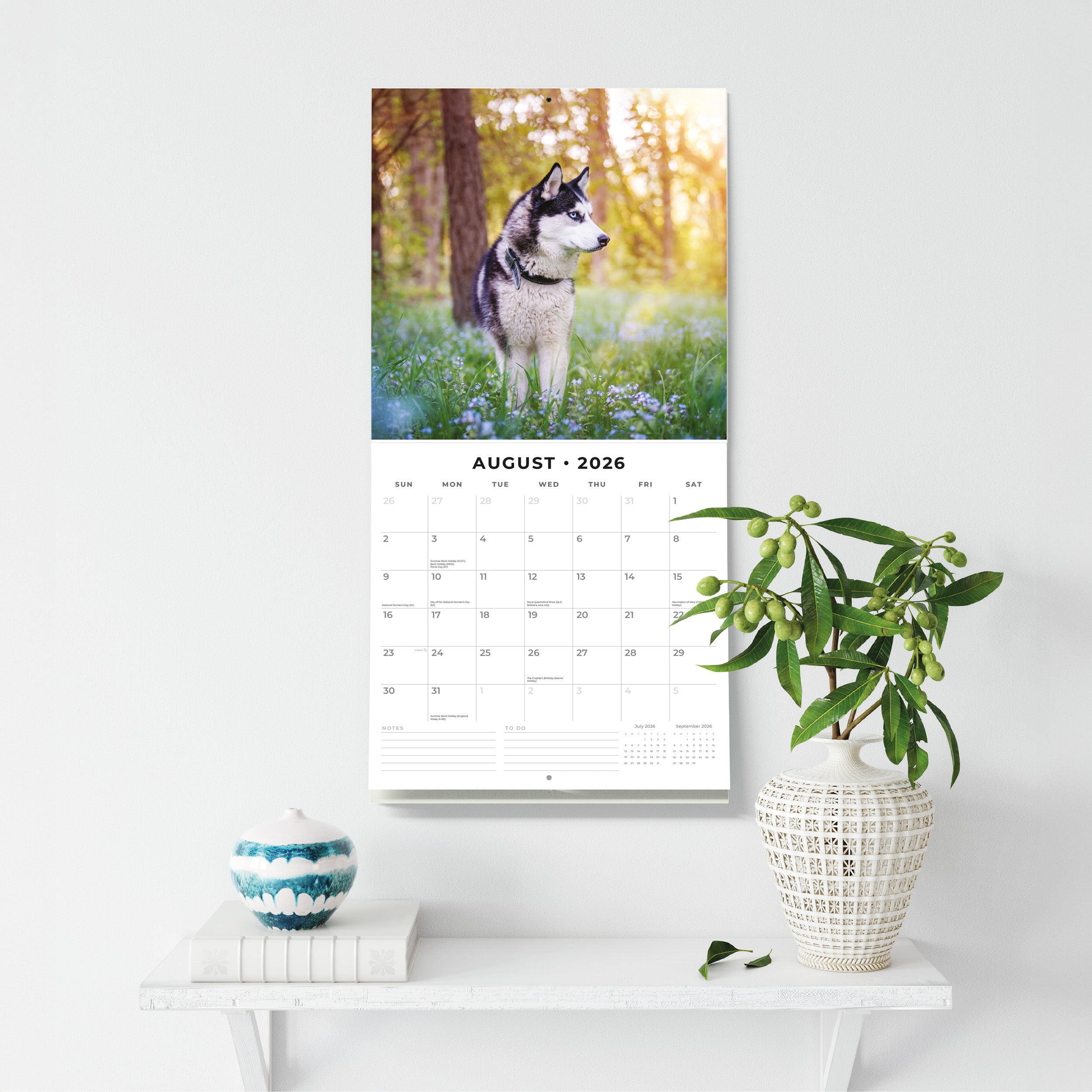 2026 Huskies - Square Wall Calendar