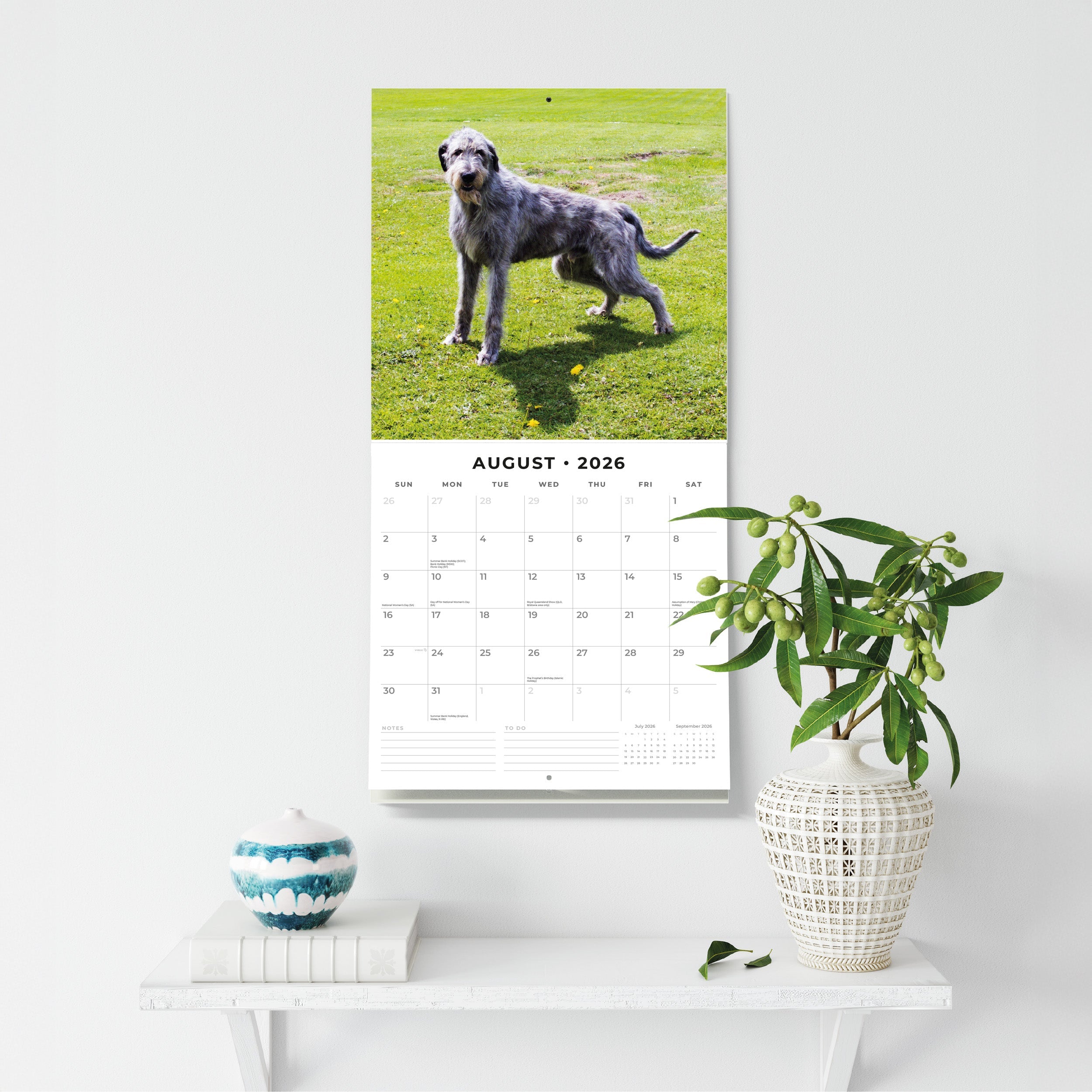 2026 Irish Wolf Hounds - Square Wall Calendar