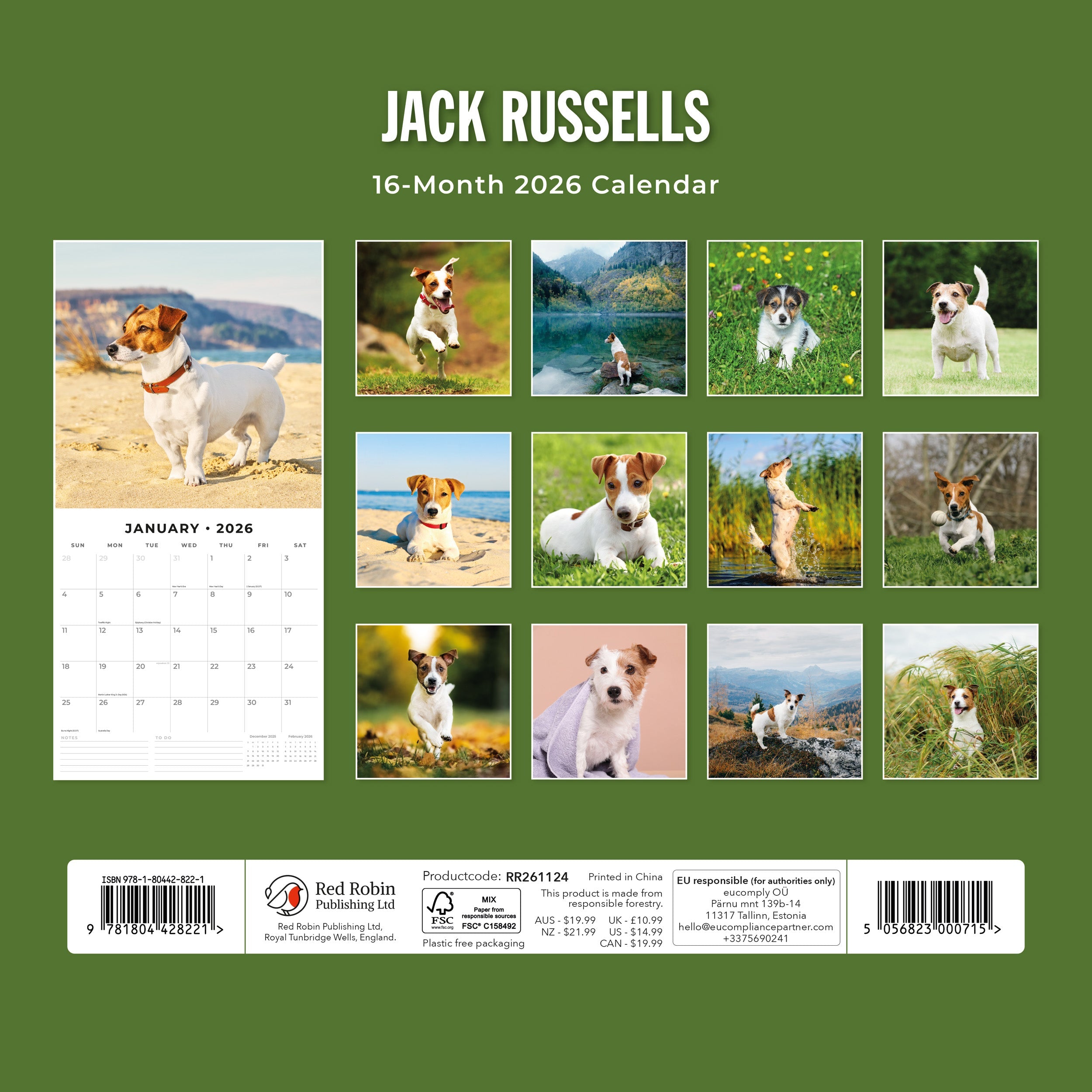 2026 Jack Russells - Square Wall Calendar