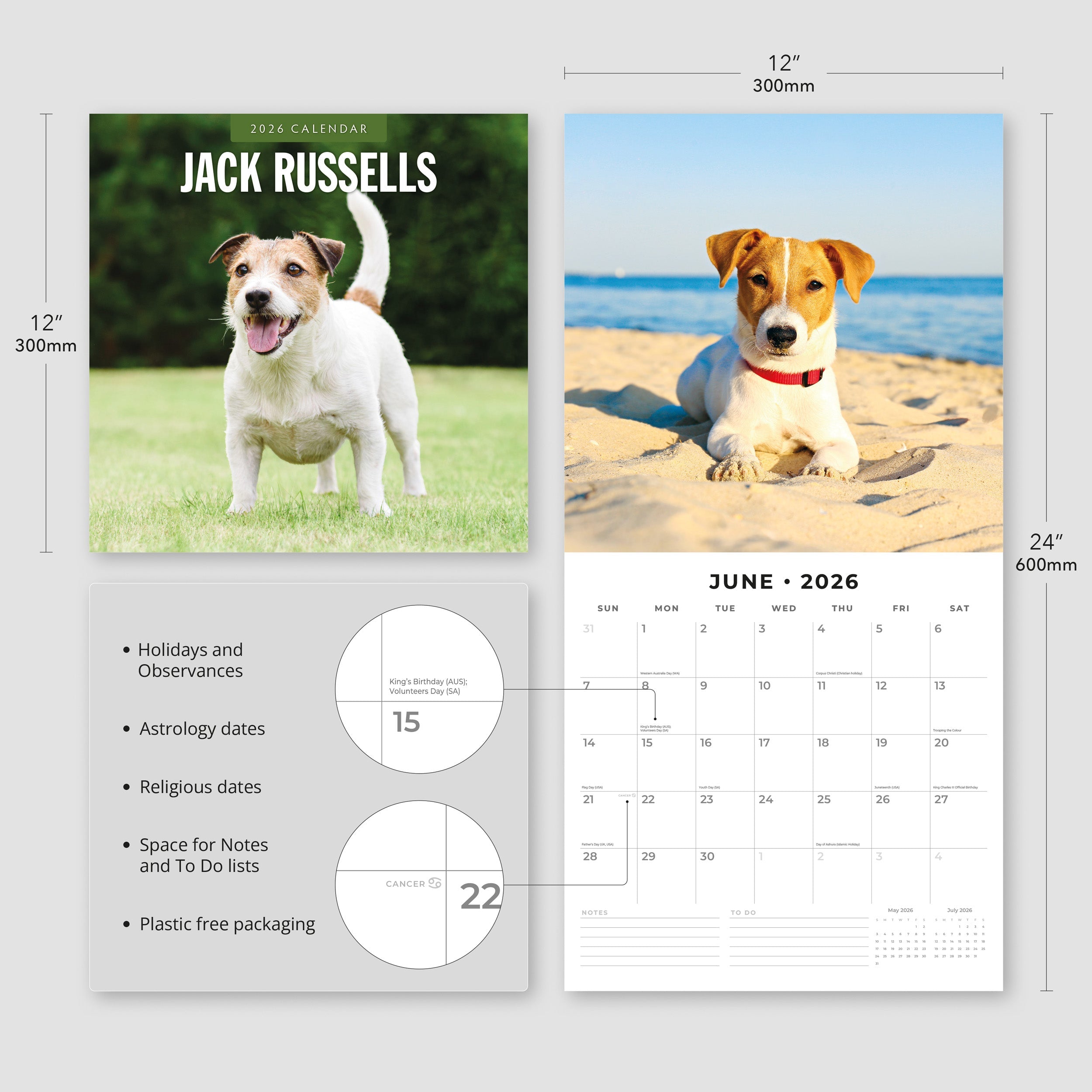 2026 Jack Russells - Square Wall Calendar