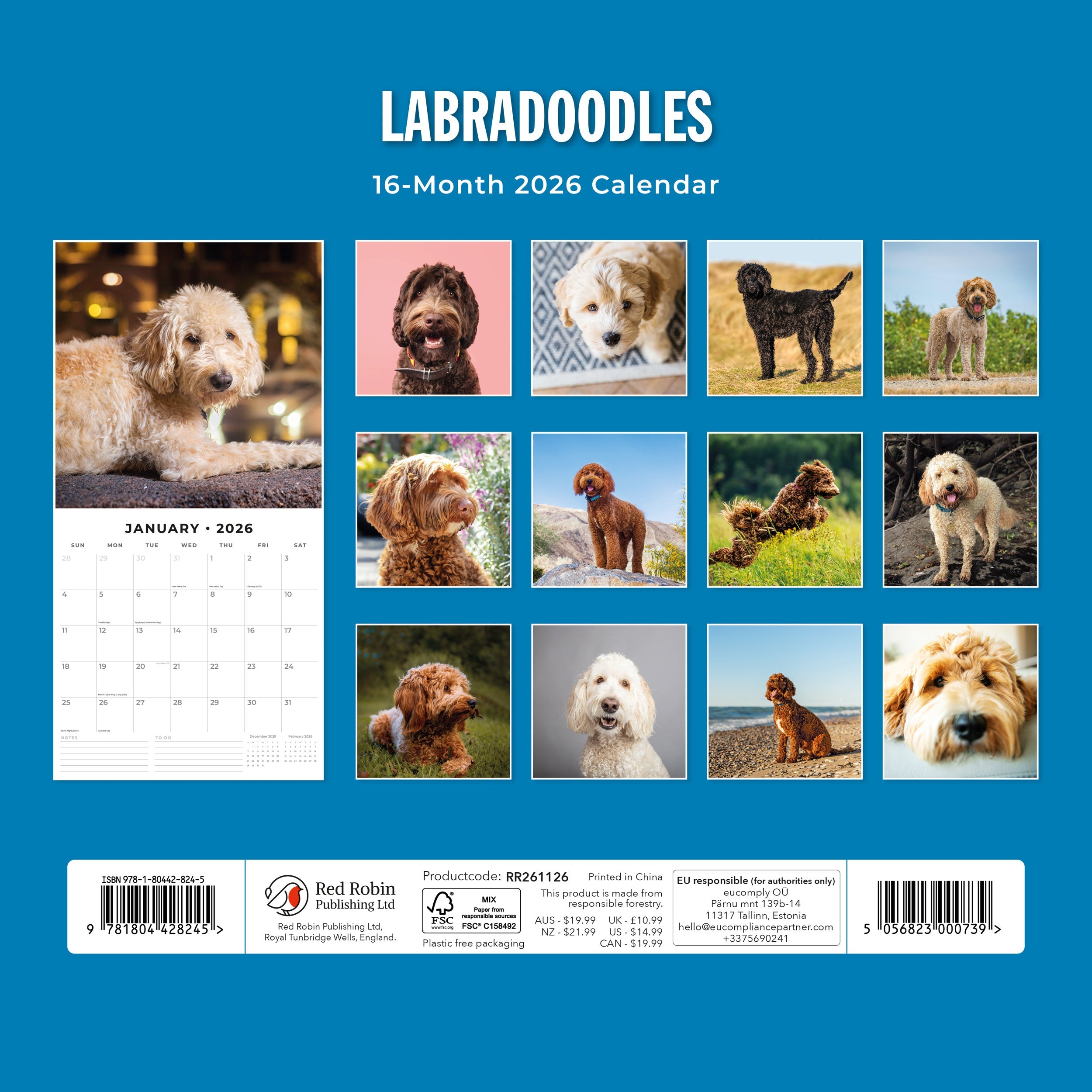 2026 Labradoodles - Square Wall Calendar