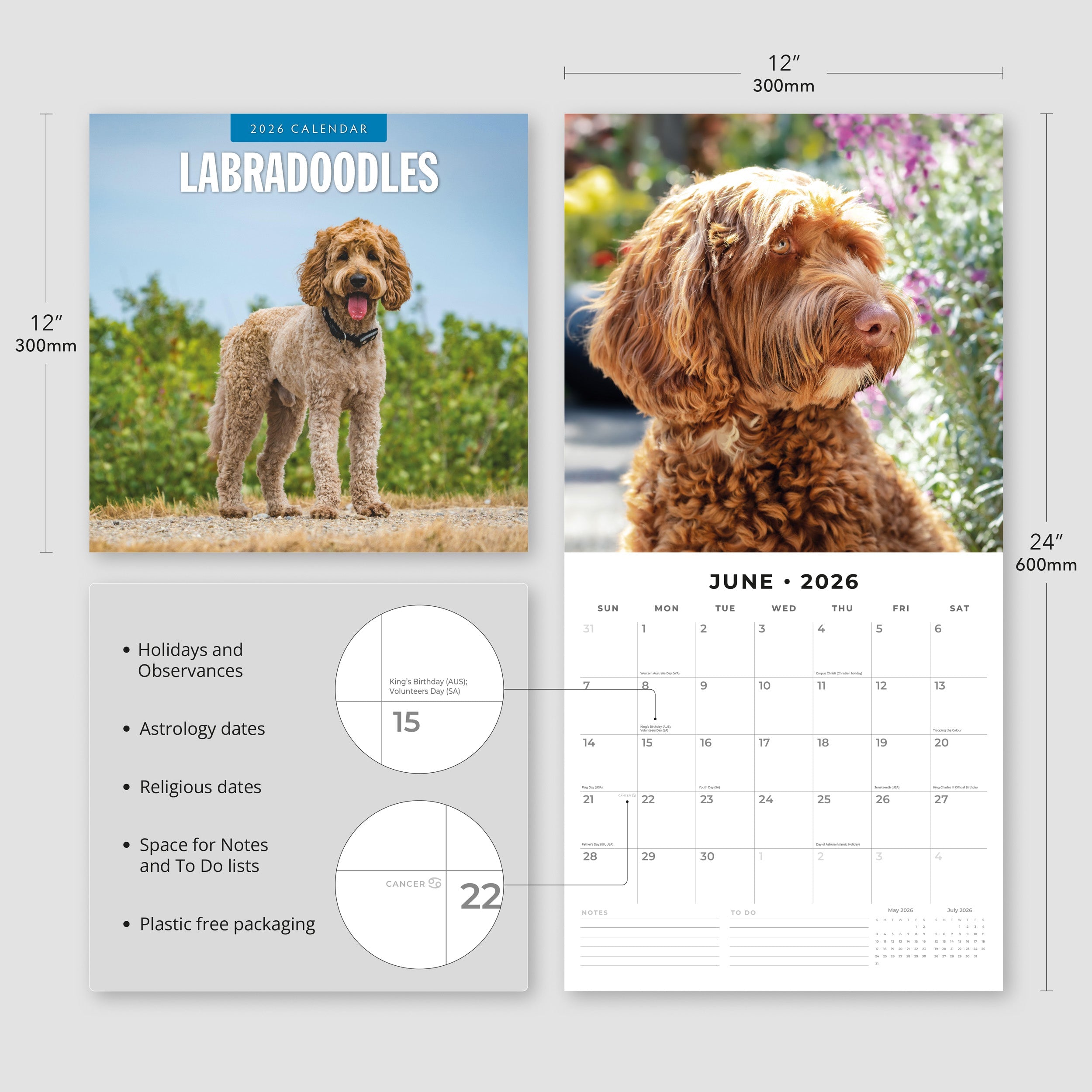 2026 Labradoodles - Square Wall Calendar