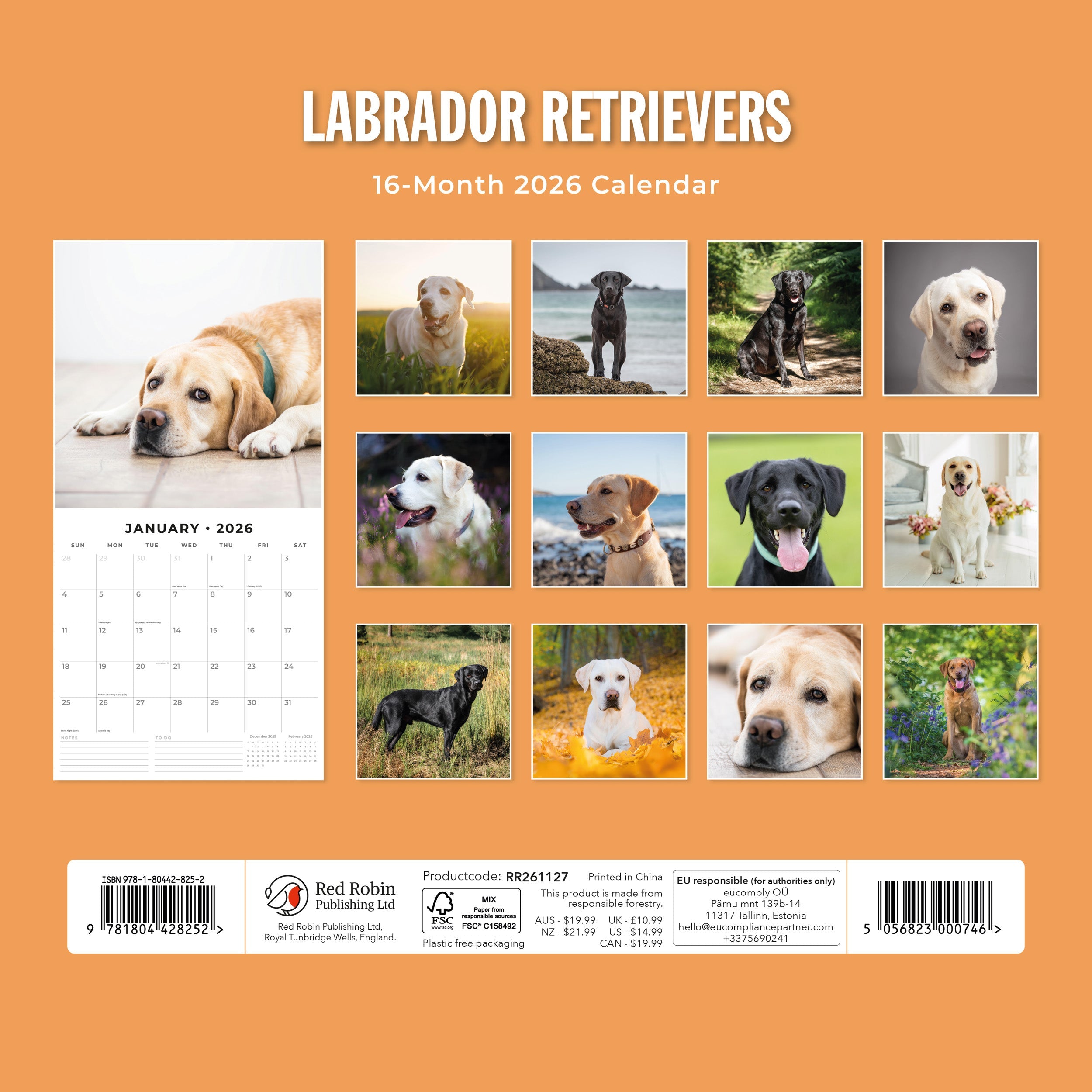 2026 Labrador Retrievers - Square Wall Calendar