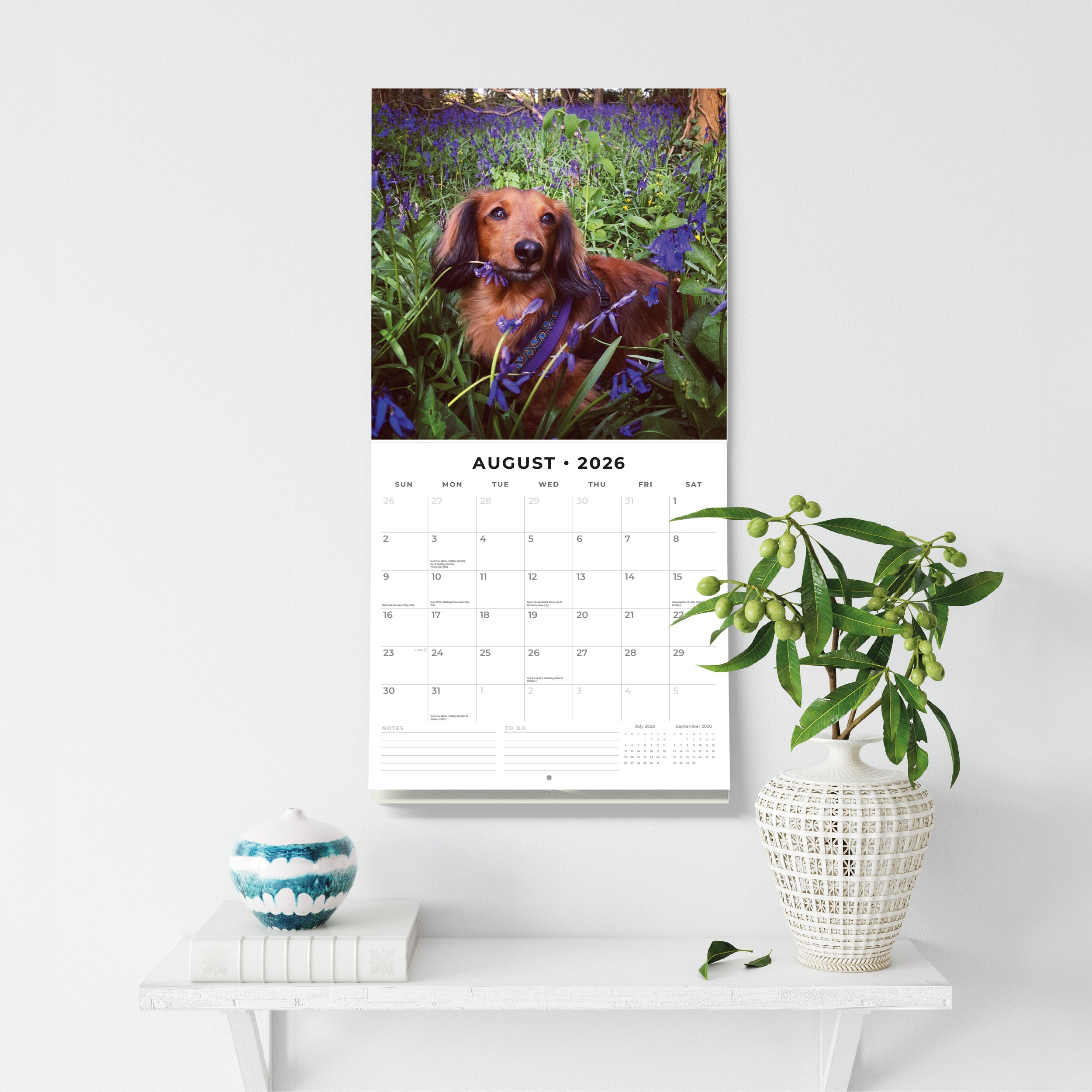 2026 Long-haired Dachshunds - Square Wall Calendar