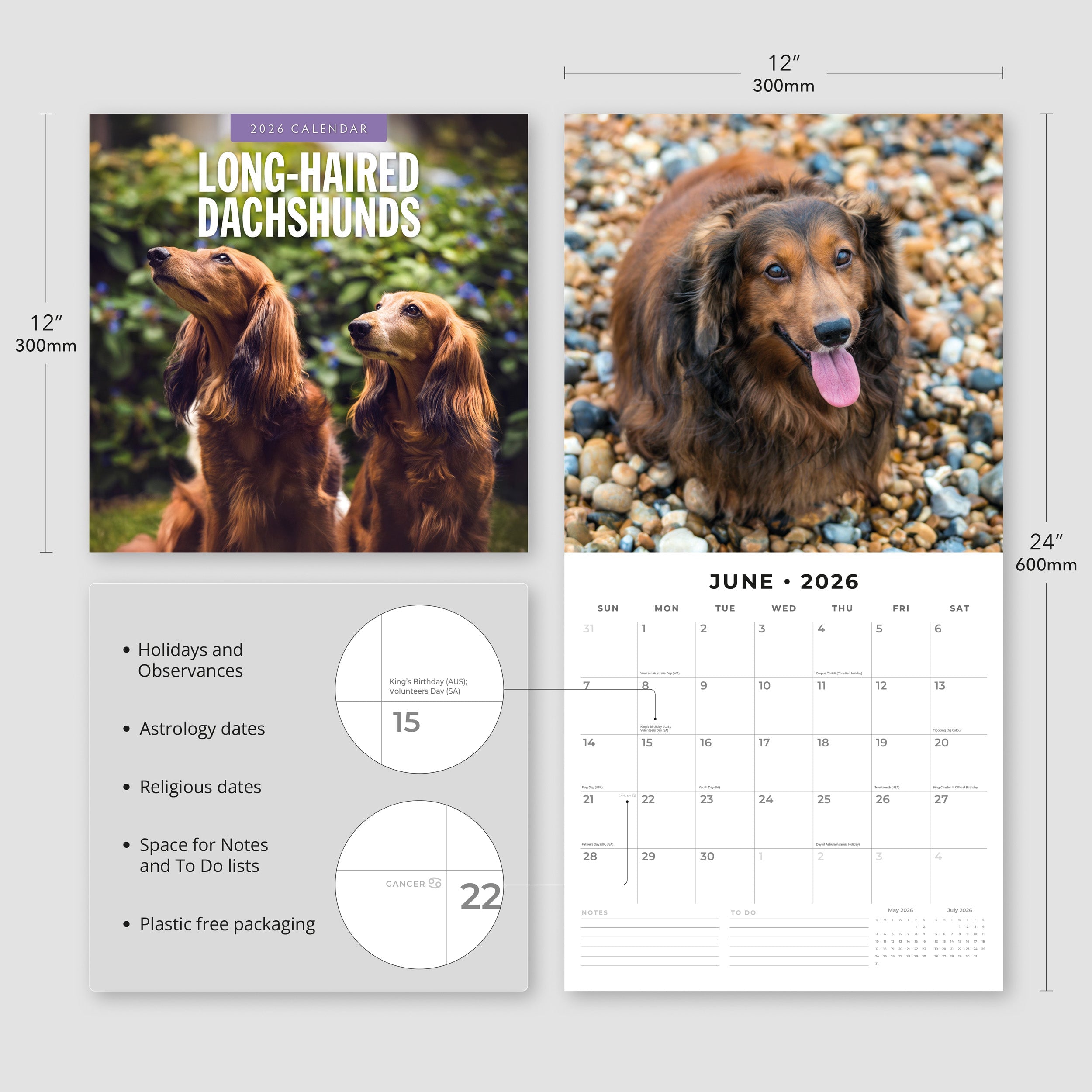 2026 Long-haired Dachshunds - Square Wall Calendar