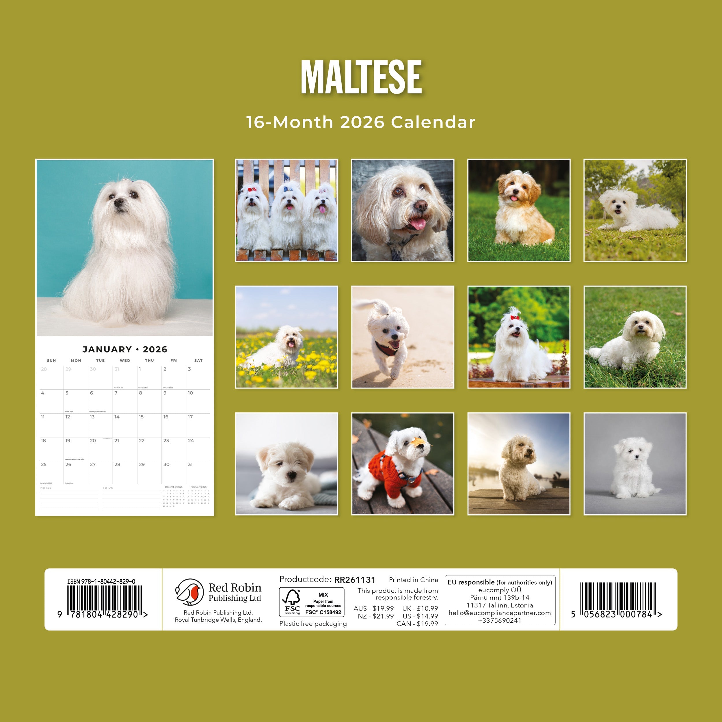 2026 Maltese - Square Wall Calendar