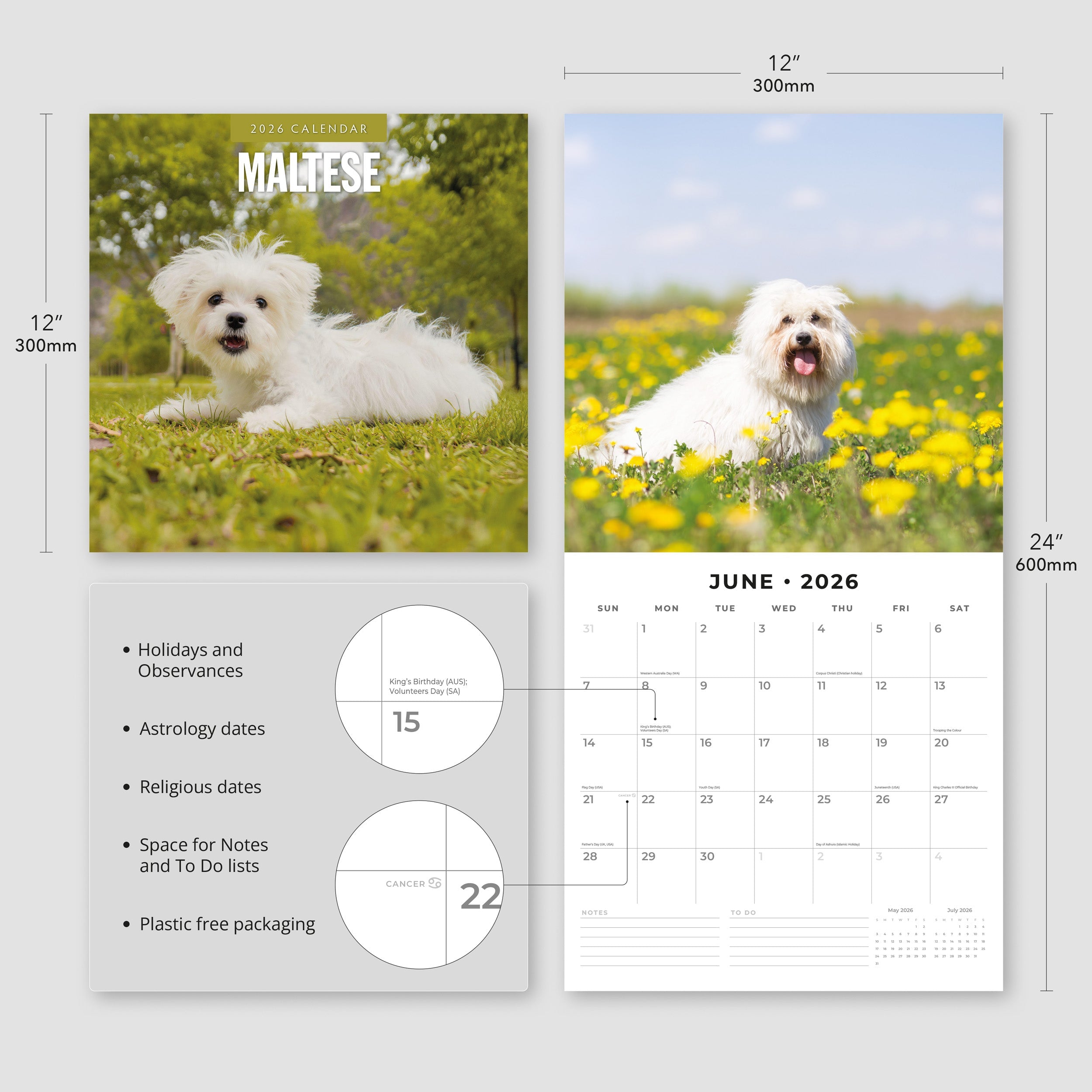 2026 Maltese - Square Wall Calendar