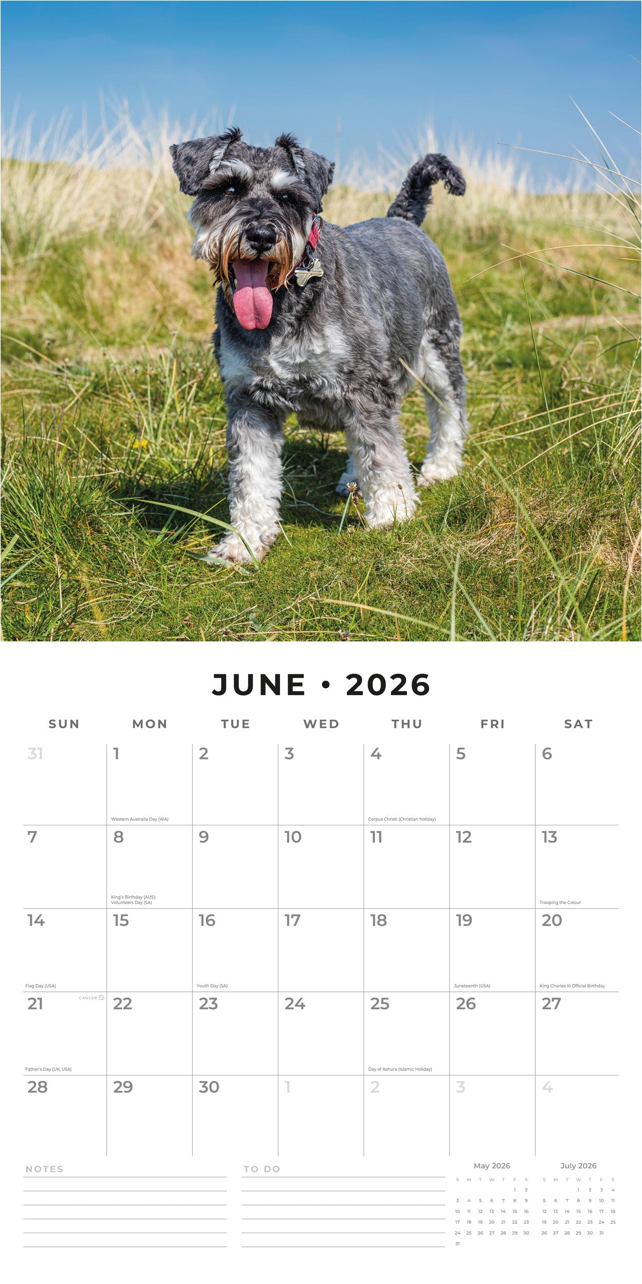 2026 Miniature Schnauzer - Square Wall Calendar